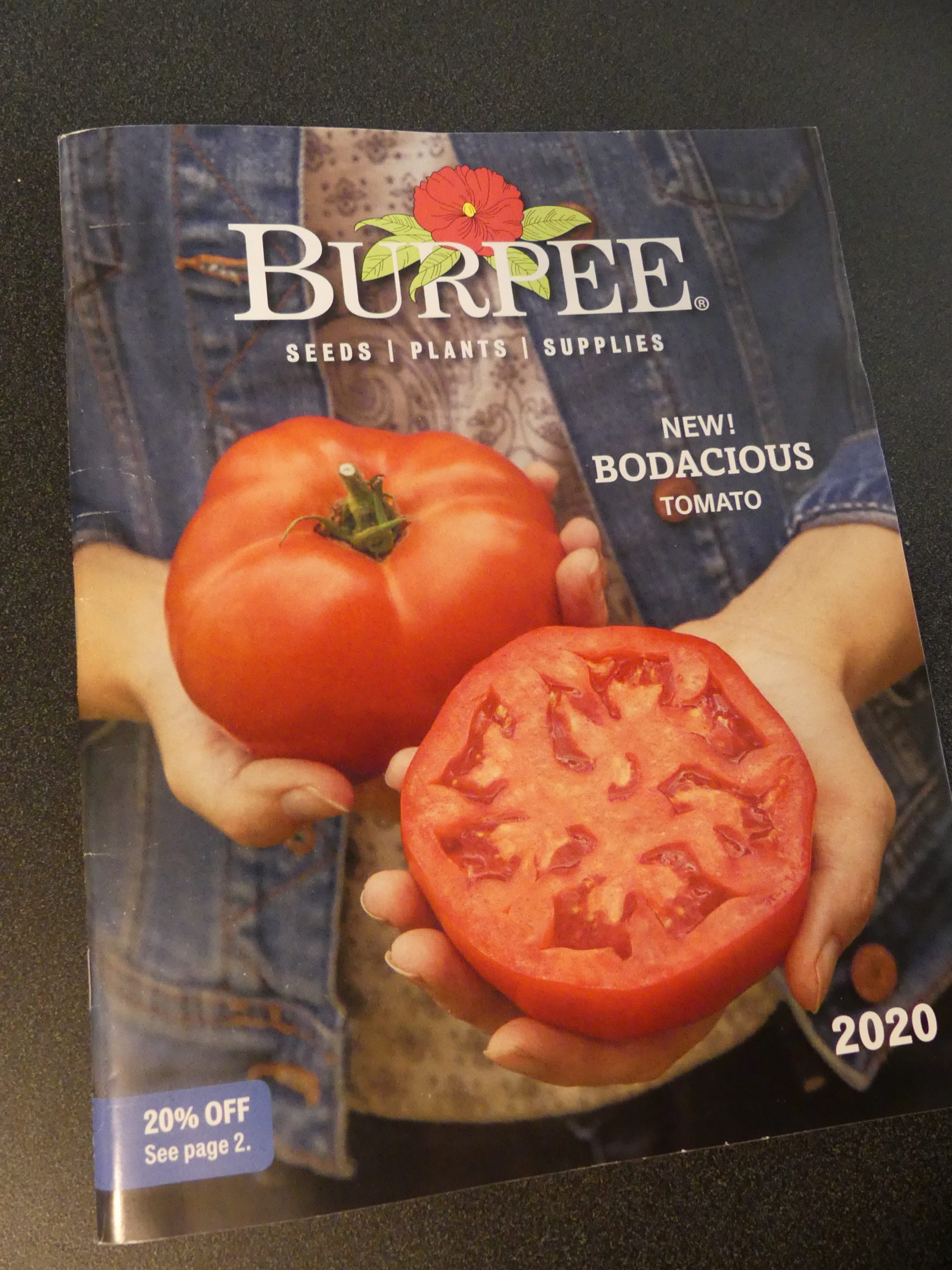 Burpee’s new “Bodacious” tomato offering for 2020. Really? ANDREW MESSINGER