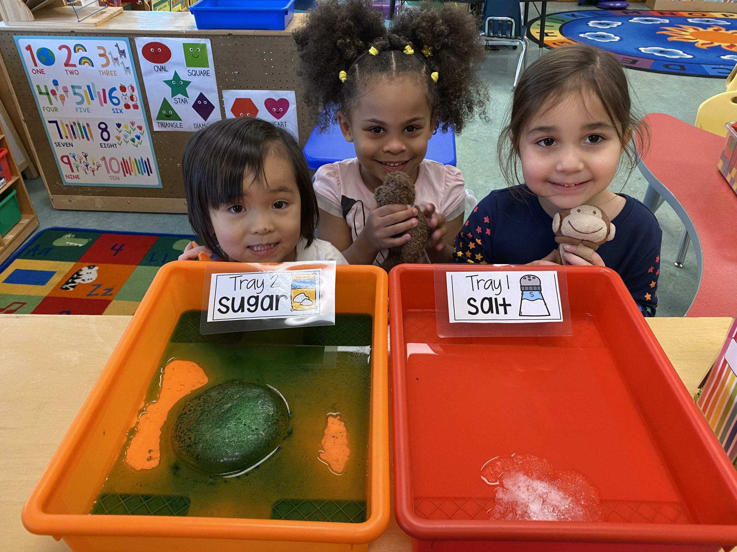 Bridgehampton School pre-K students, including from left, Meia Verzosa, Gianna Walker and Isabel Leon, conducted a science experiment in which hey explored whether salt or sugar would melt an ice block faster. They first made a prediction by casting a vote on a salt or sugar T-chart. Then, they observed the salt and sugar covered ice blocks and drew a picture of their observations. The scientific experiment resulted in learning that the ice melted quicker using the salt. 
