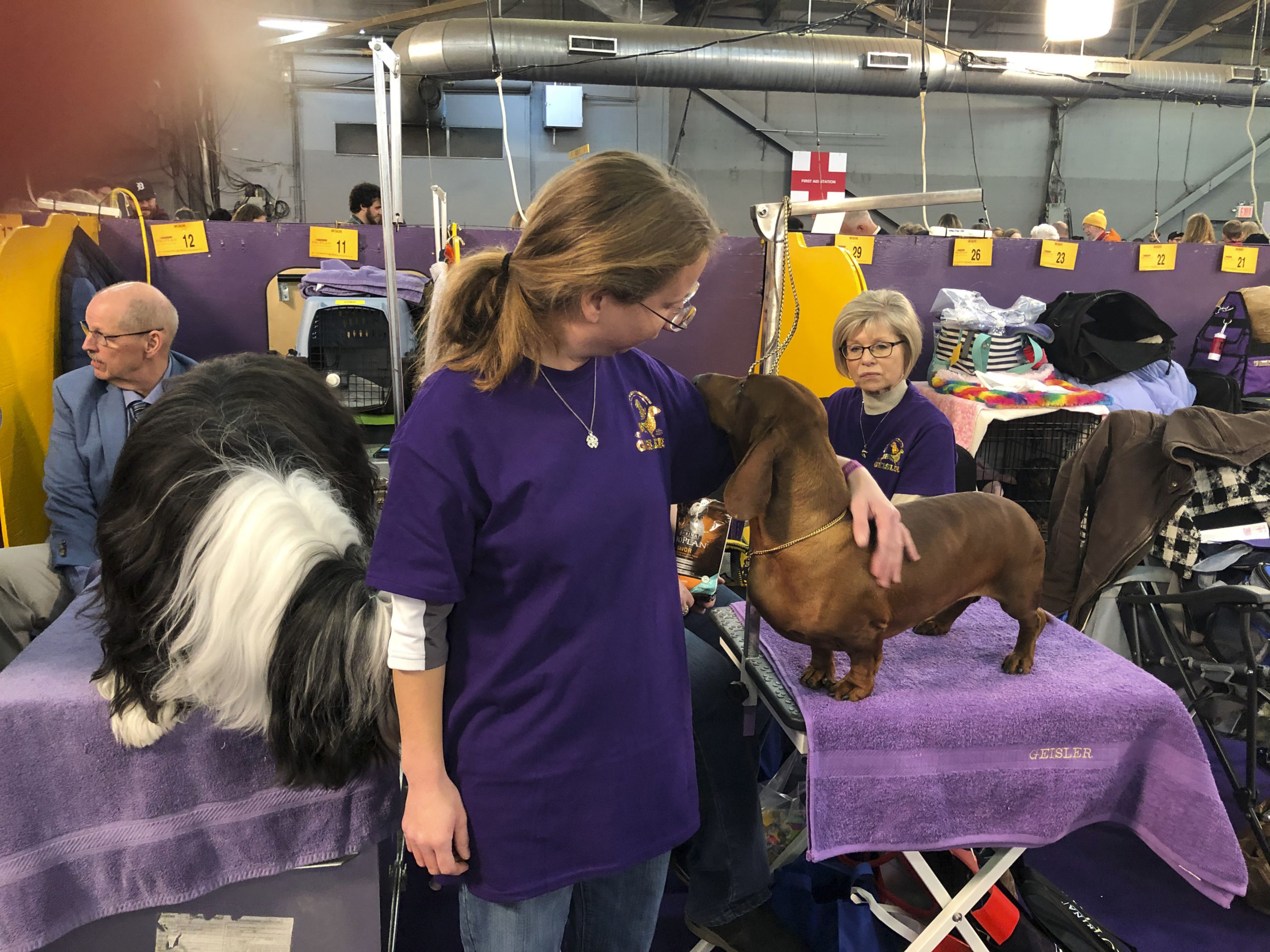 Southampton High School alum Alex Geisler with her Smooth Haired Dachshund, Hammer, in the benching area of the Westminster Dog Show. SHELLY BORKOSKI