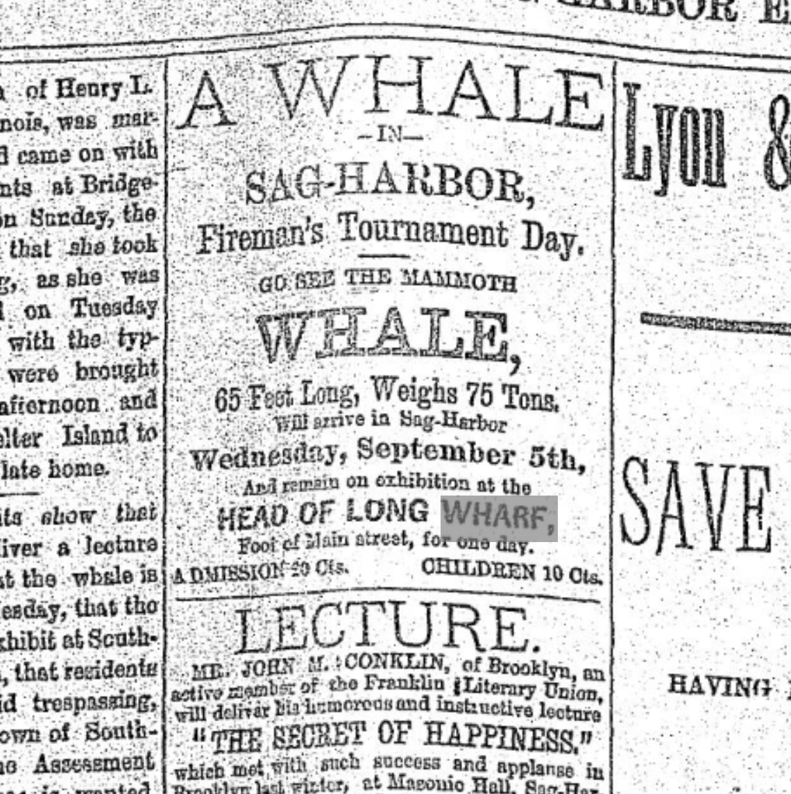 An advertisement that appeared in the August 6, 1888 edition of The Sag Harbor Express for the whale exhibit. 