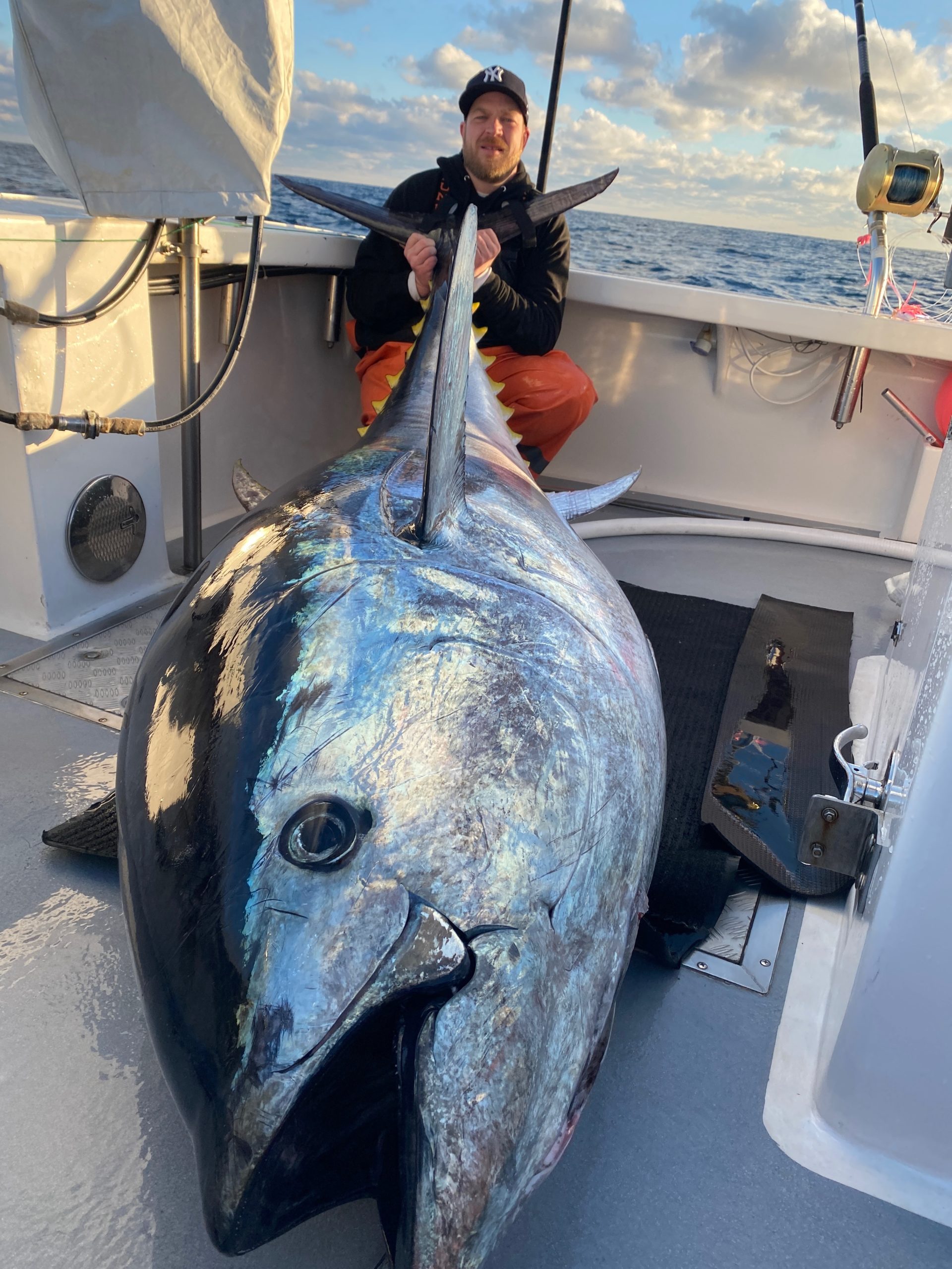 Brian Finnegan and the Flying Dutchman crew decked this 800-pound bluefin off North Carolina last weekend. Bryan Fromm