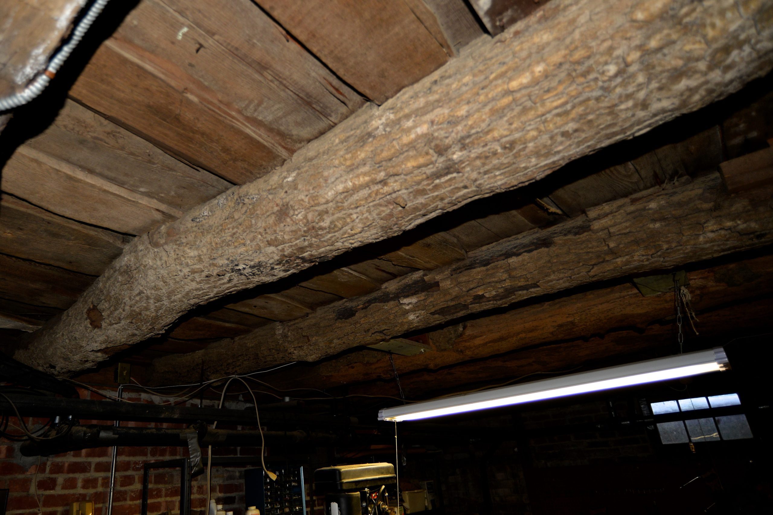 Ax-hewn beams in the basement of the Fithian House. 