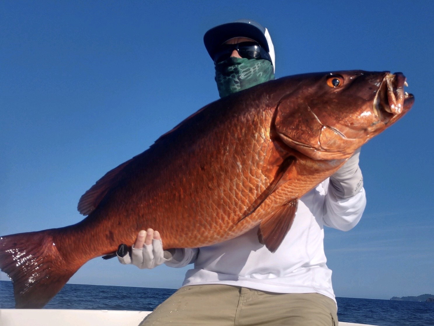 Dean Foster decked this big cubera snapper while fishing in Panama last week.