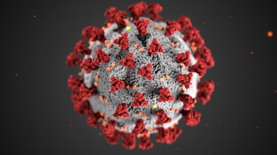 An illustration created at the Centers for Disease Control and Prevention (CDC), reveals ultrastructural morphology exhibited by coronaviruses. Note the spikes that adorn the outer surface of the virus, which impart the look of a corona surrounding the virion, when viewed  with an electron microscope.    COURTESY CDC