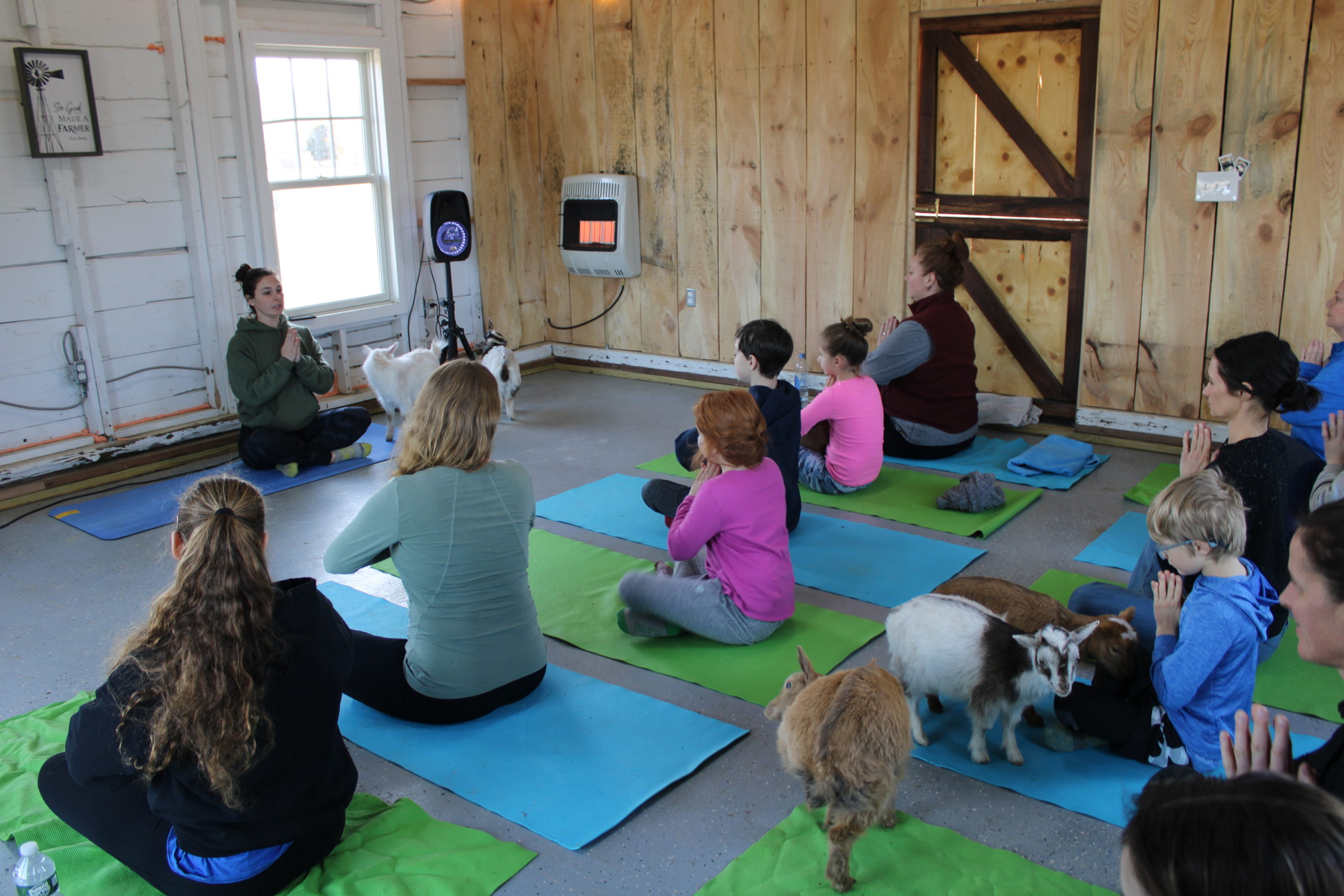 Goat yoga at Corwith Farms on Sunday.