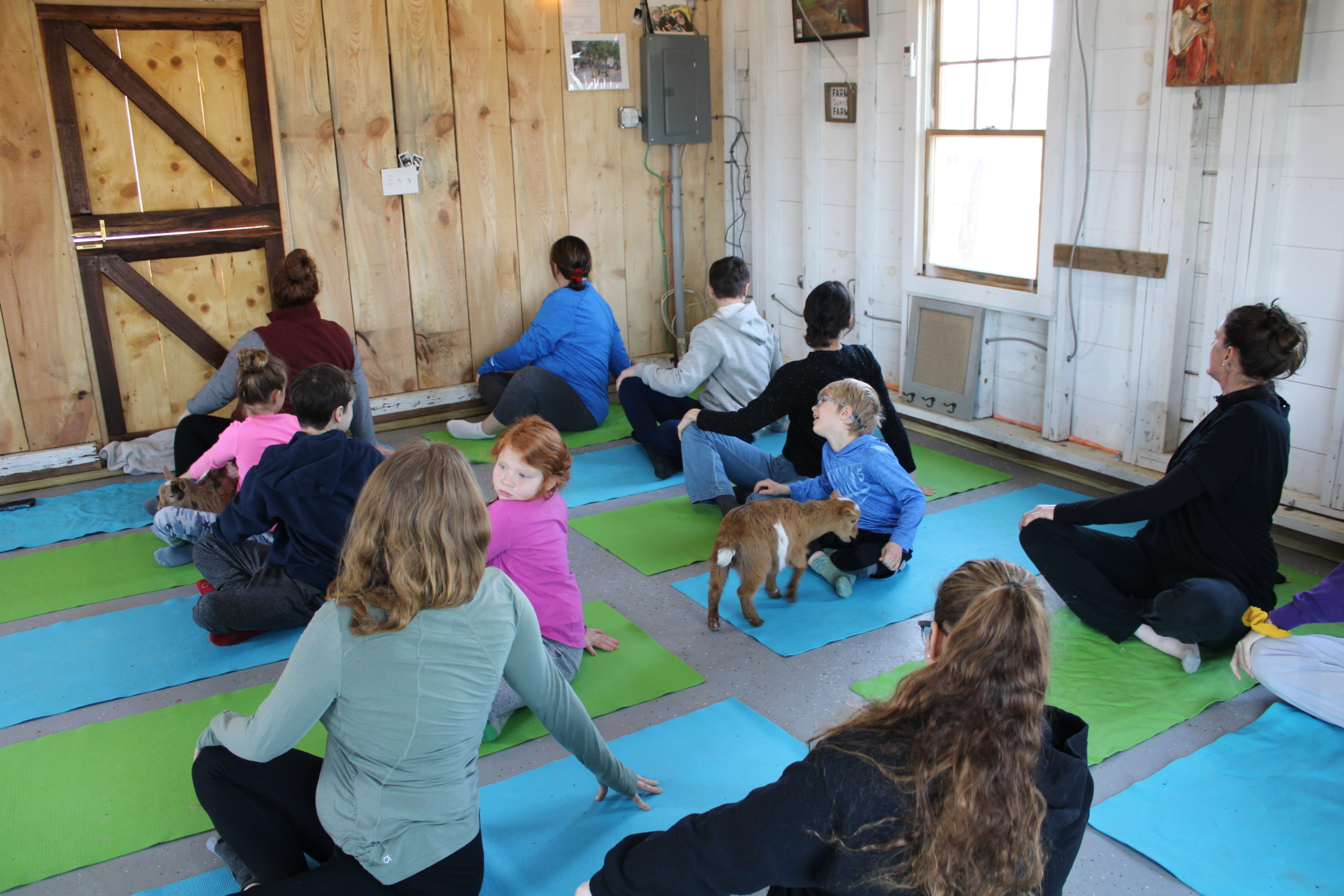 Goat yoga at Corwith Farms on Sunday.