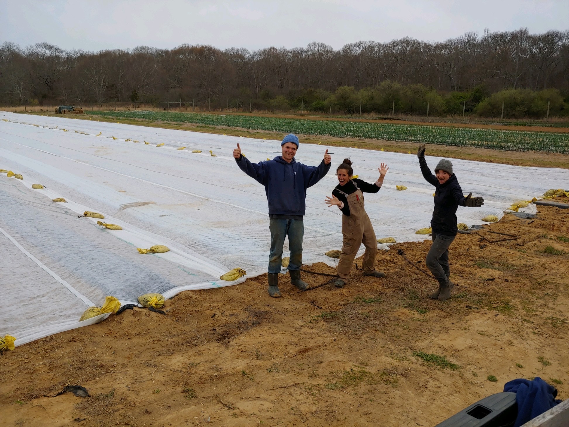 Nick Collins, Hannah Flood and Arielle Gardner at Amber Waves Farm.