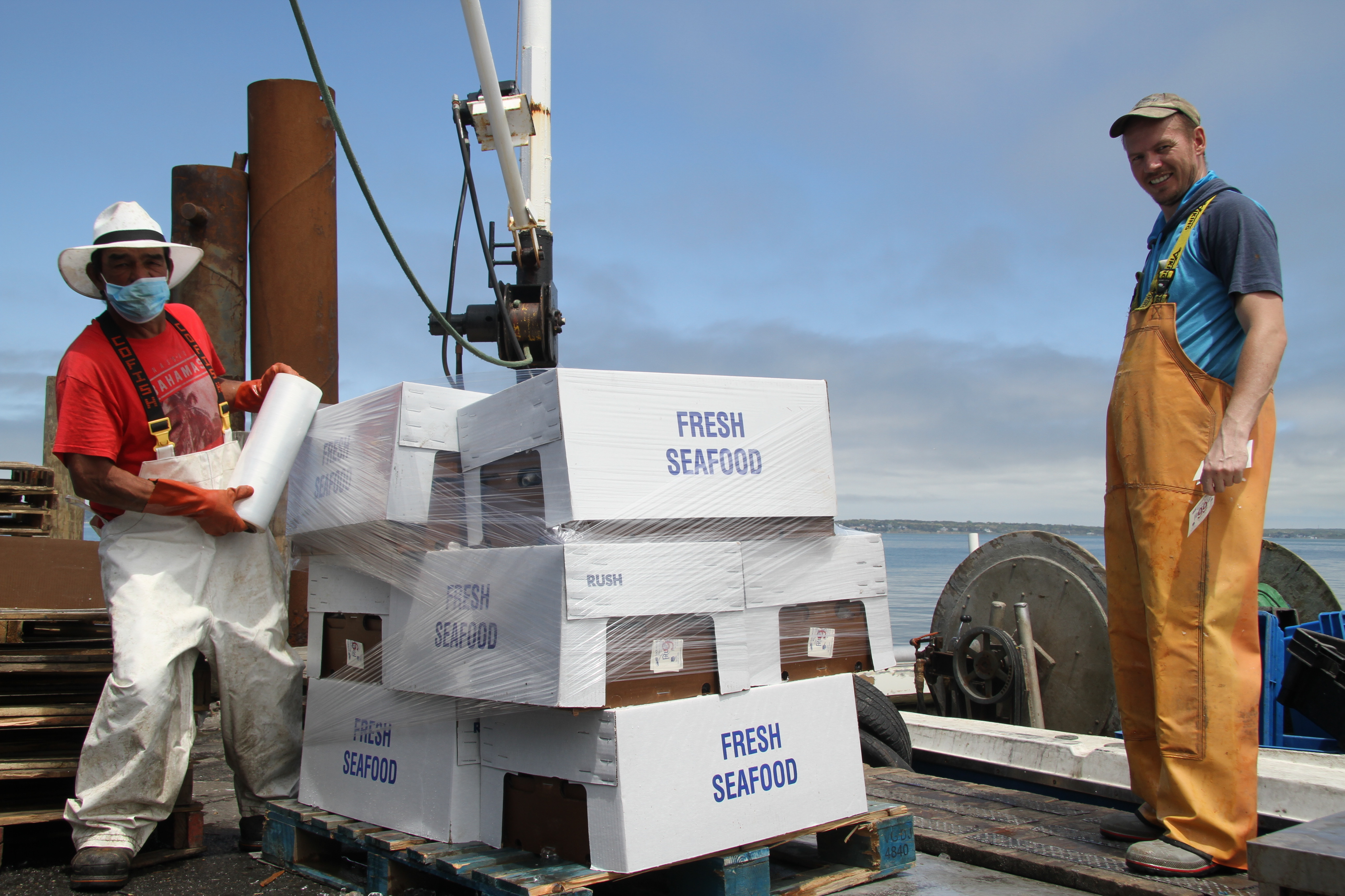 Commercial fishermen have diversified their outreach to markets and seafood retailers have thrived amid the coronavirus epidemic. 
