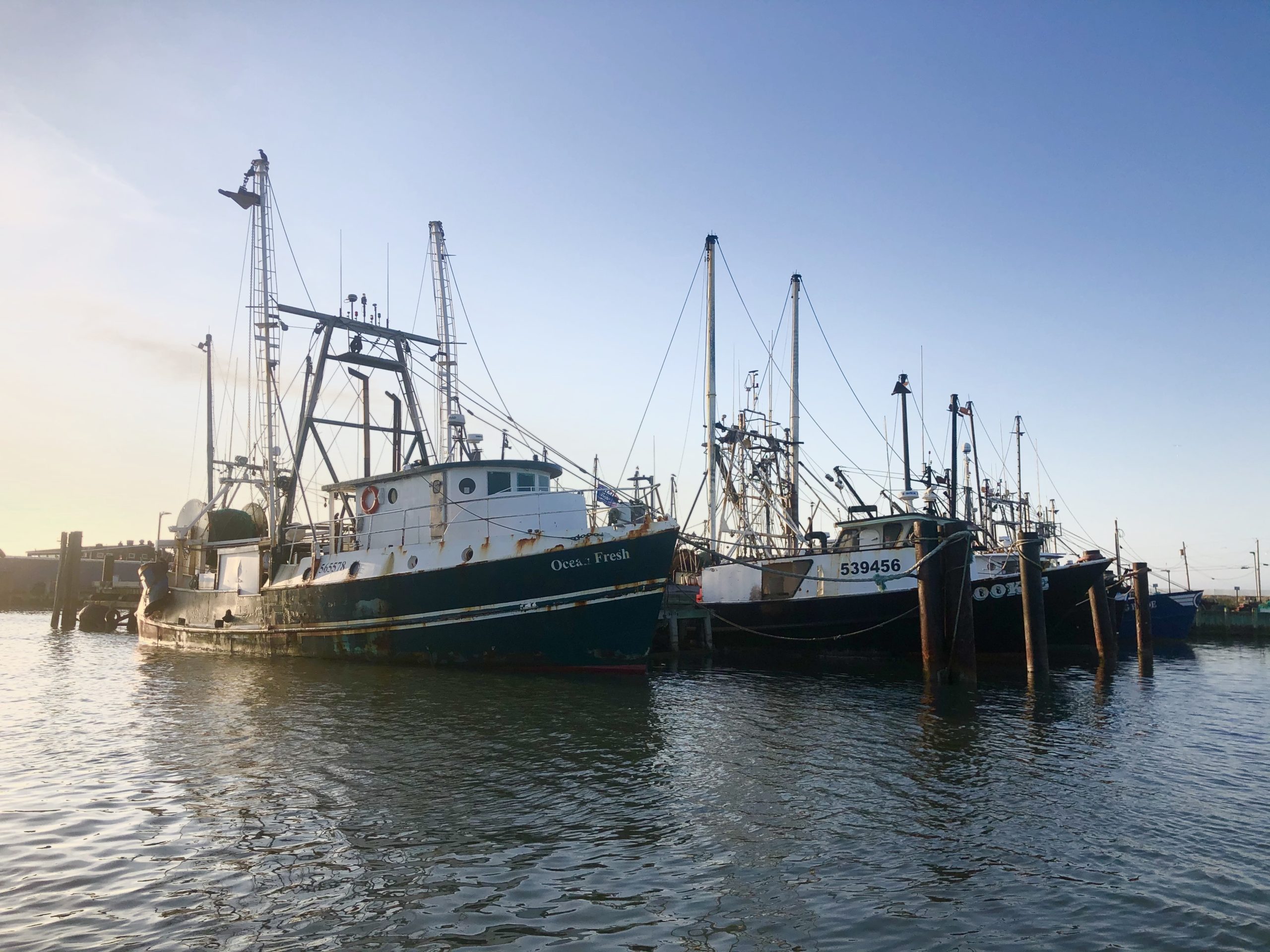 Commercial fishing fleets were hit hard by a collapse in market prices in the early days of the coronavirus epidemic. Prices have rebounded and more fishermen have diversified their outlets for selling their catch. 