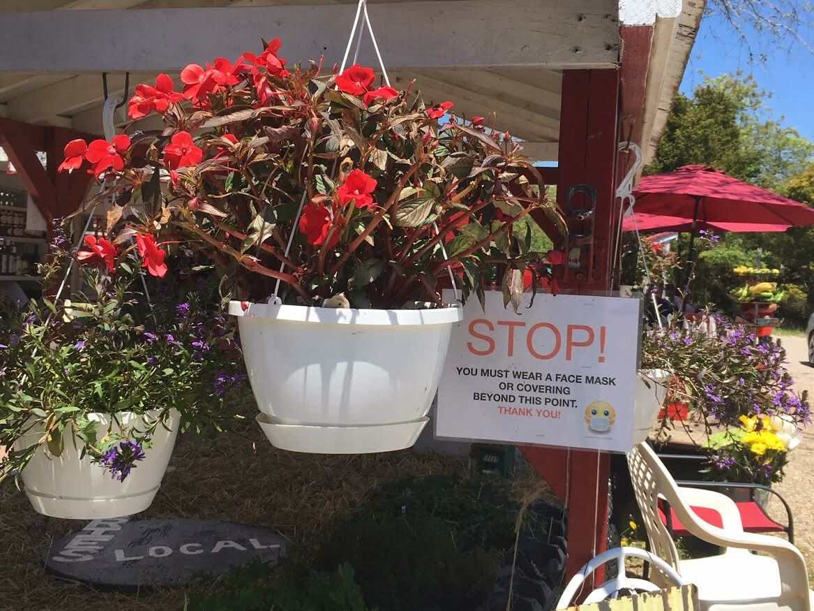 Warnings amidst the hanging flower baskets. KITTY MERRILL