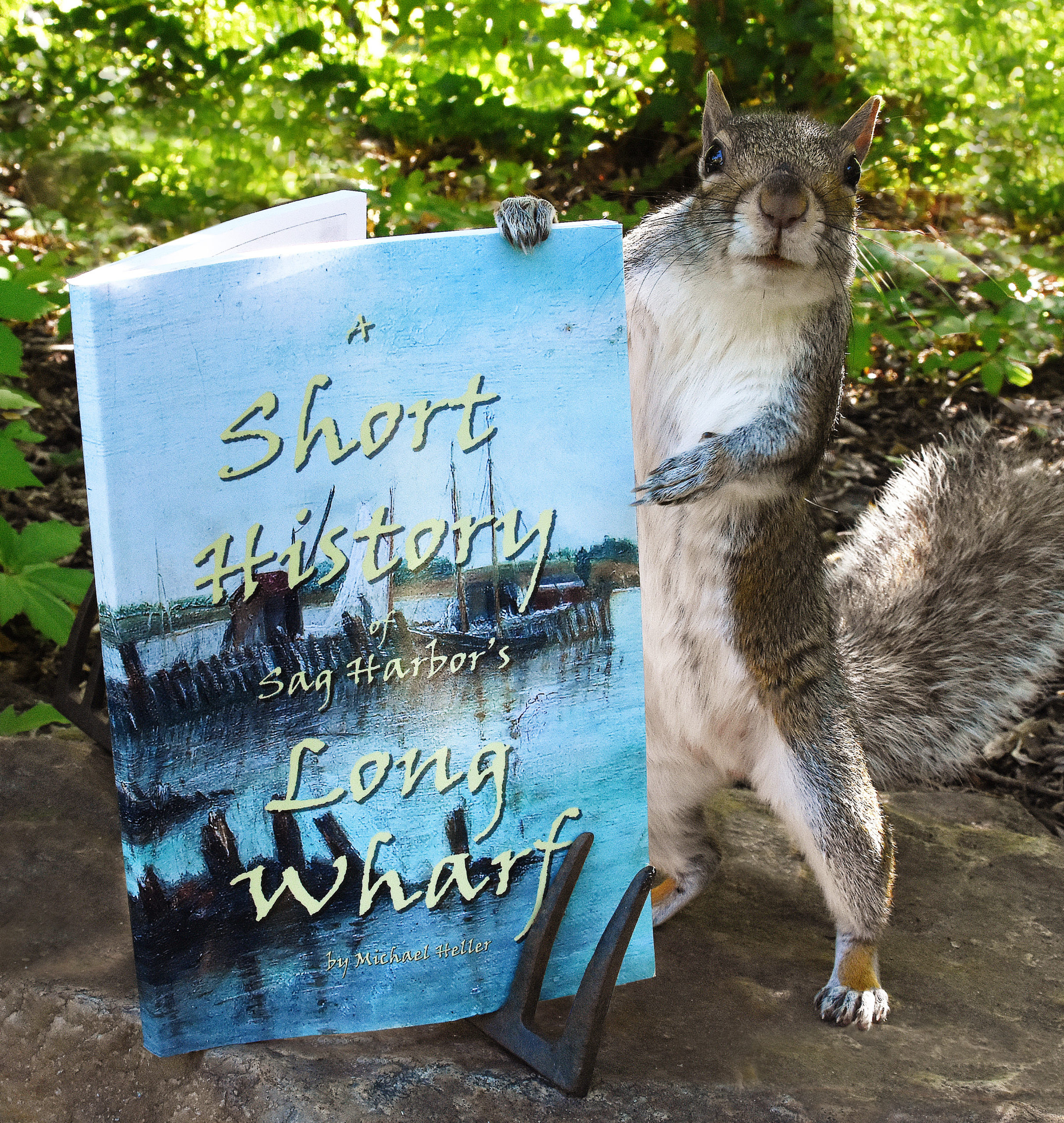 Squirrels are nuts for this book.