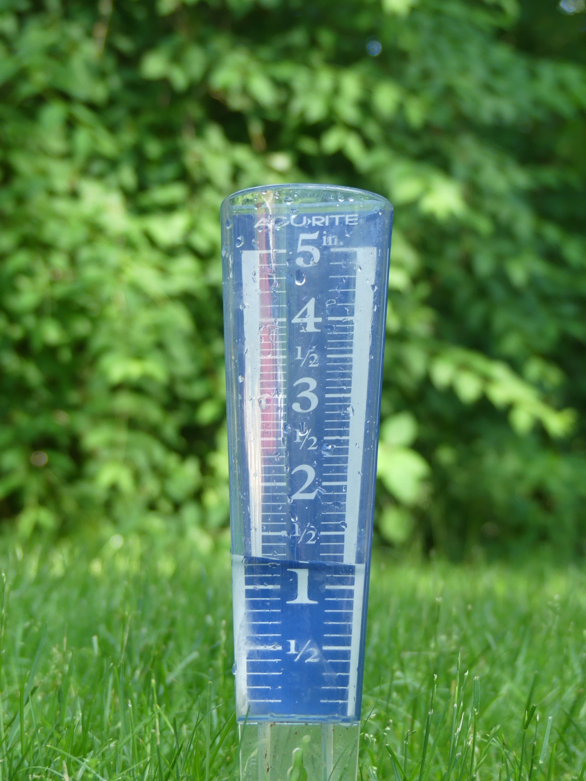 An inexpensive rain gauge (when emptied regularly and installed level) helps you know how much water your sprinkler(s) are putting out and how much water that thunderstorm dropped. They are available at most garden centers and hardware stores or online. Keep in mind the mantra: 2 inches a week.