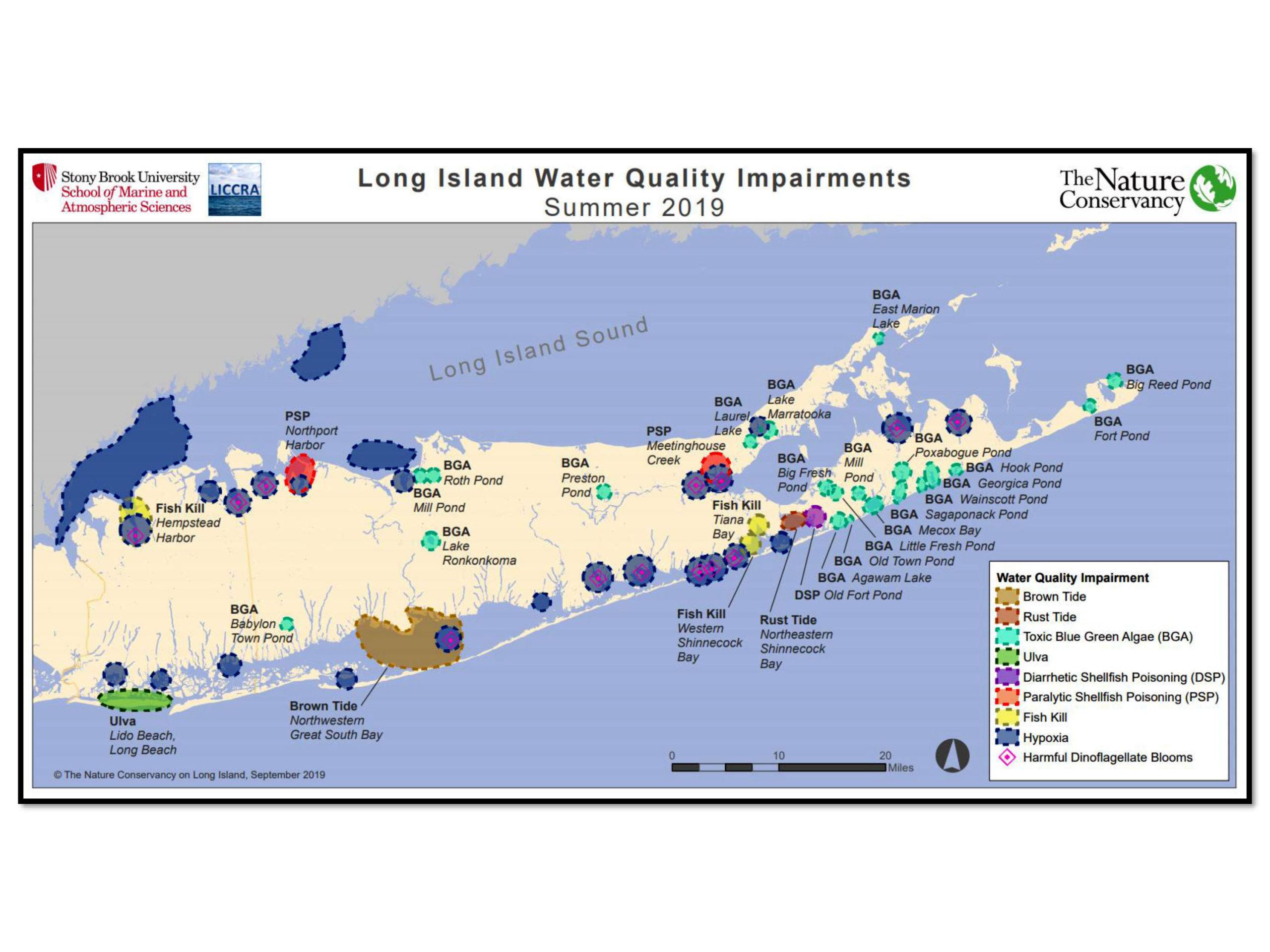 There were more than 30 harmful algae blooms and 50 total incidents of water quality crises on Long Island in 2019. 
