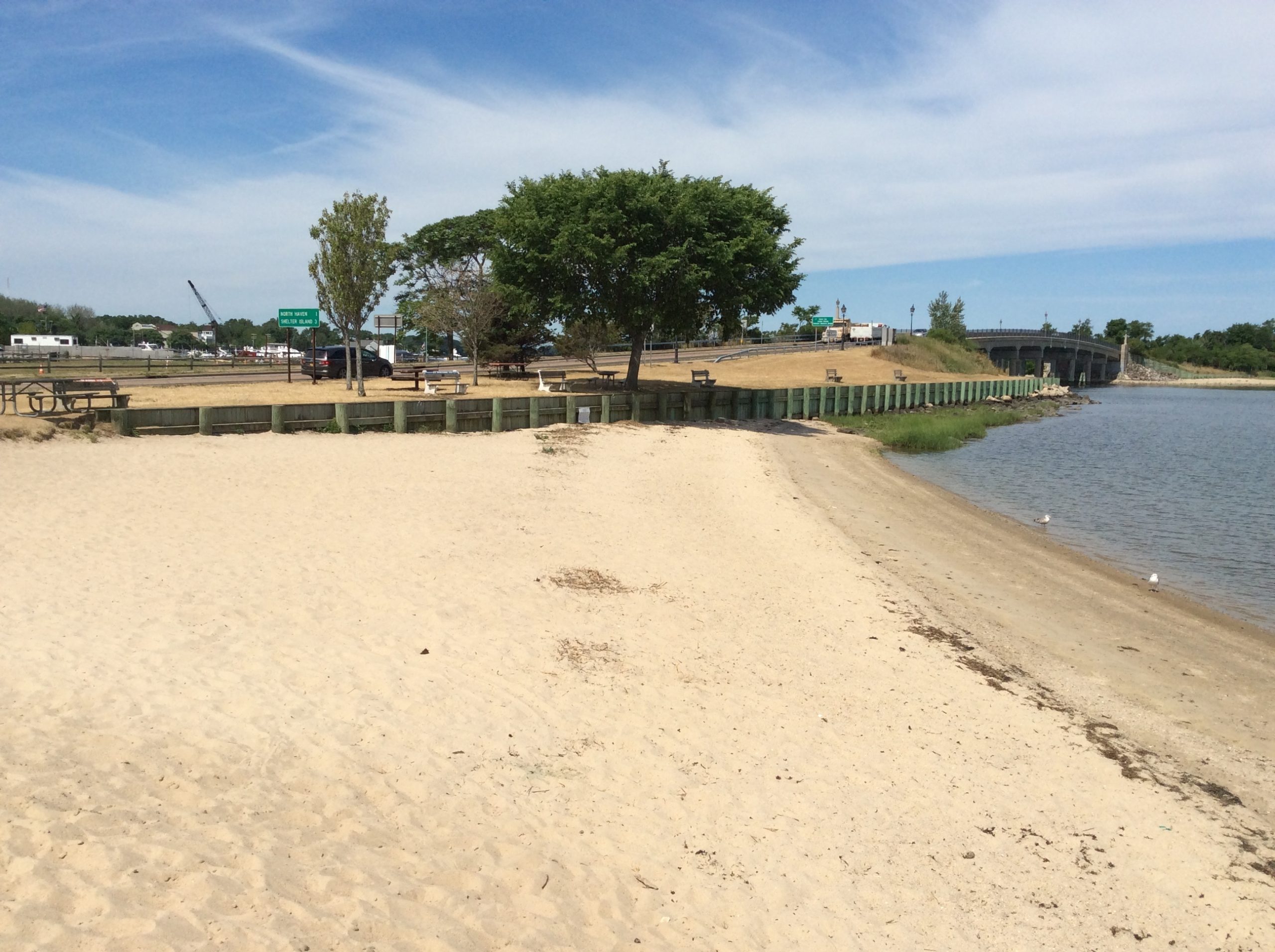 Shoreline for a walkway.