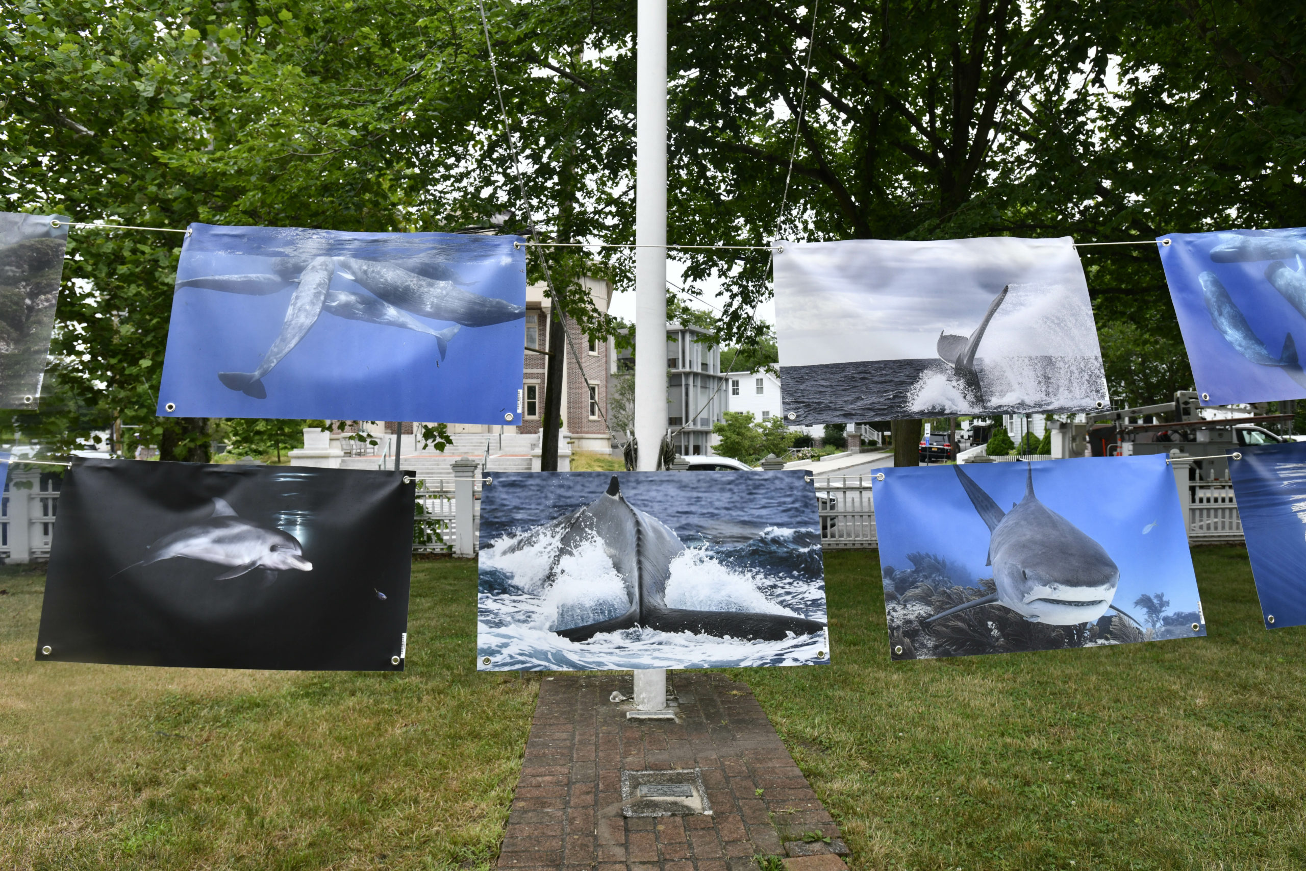 The Sag Harbor Whaling Museum opened its season with a selection of outdoor exhibitions on July 9.  DANA SHAW