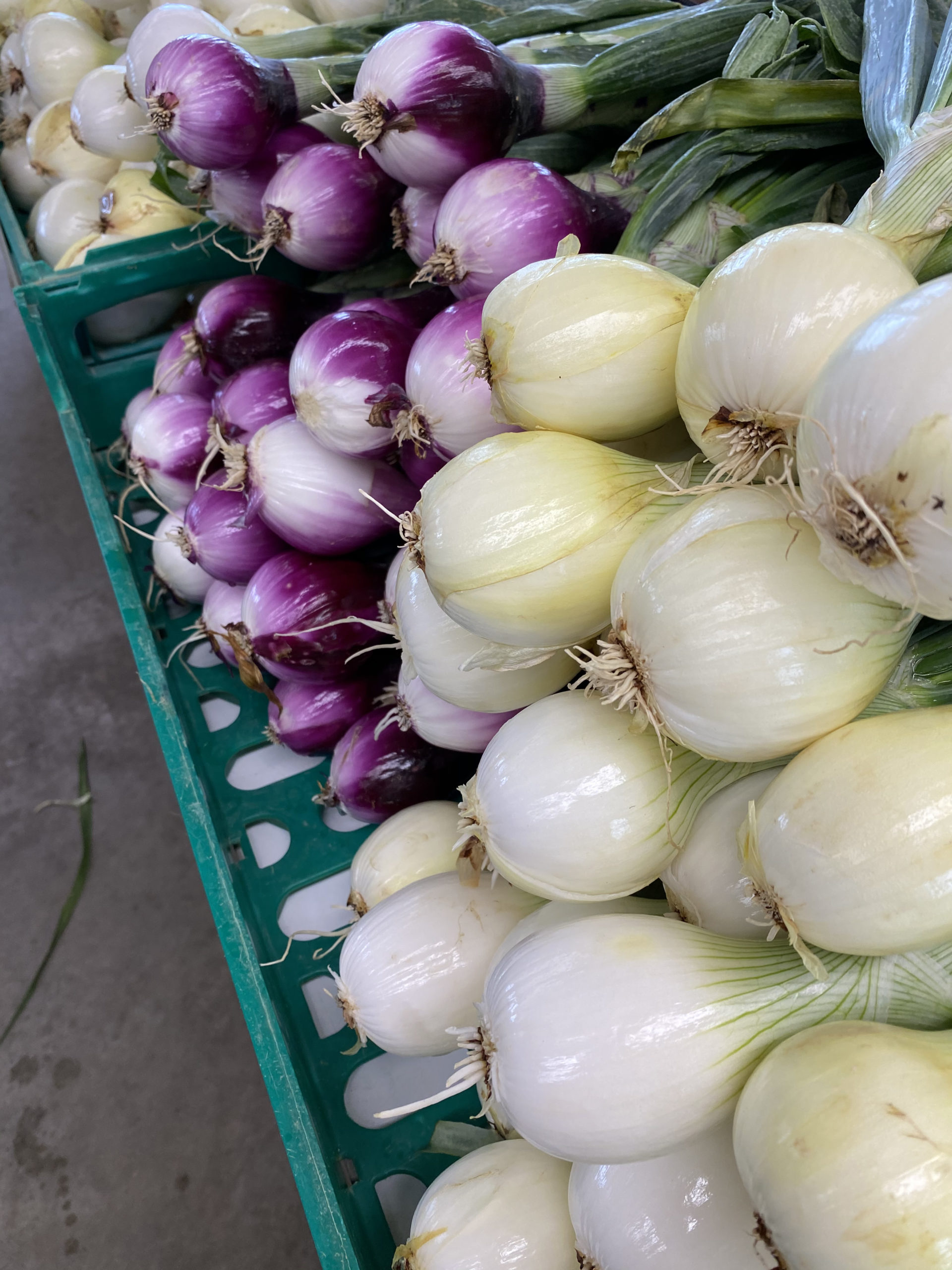 Onions and shallots galore.    STEVEN STOLMAN
