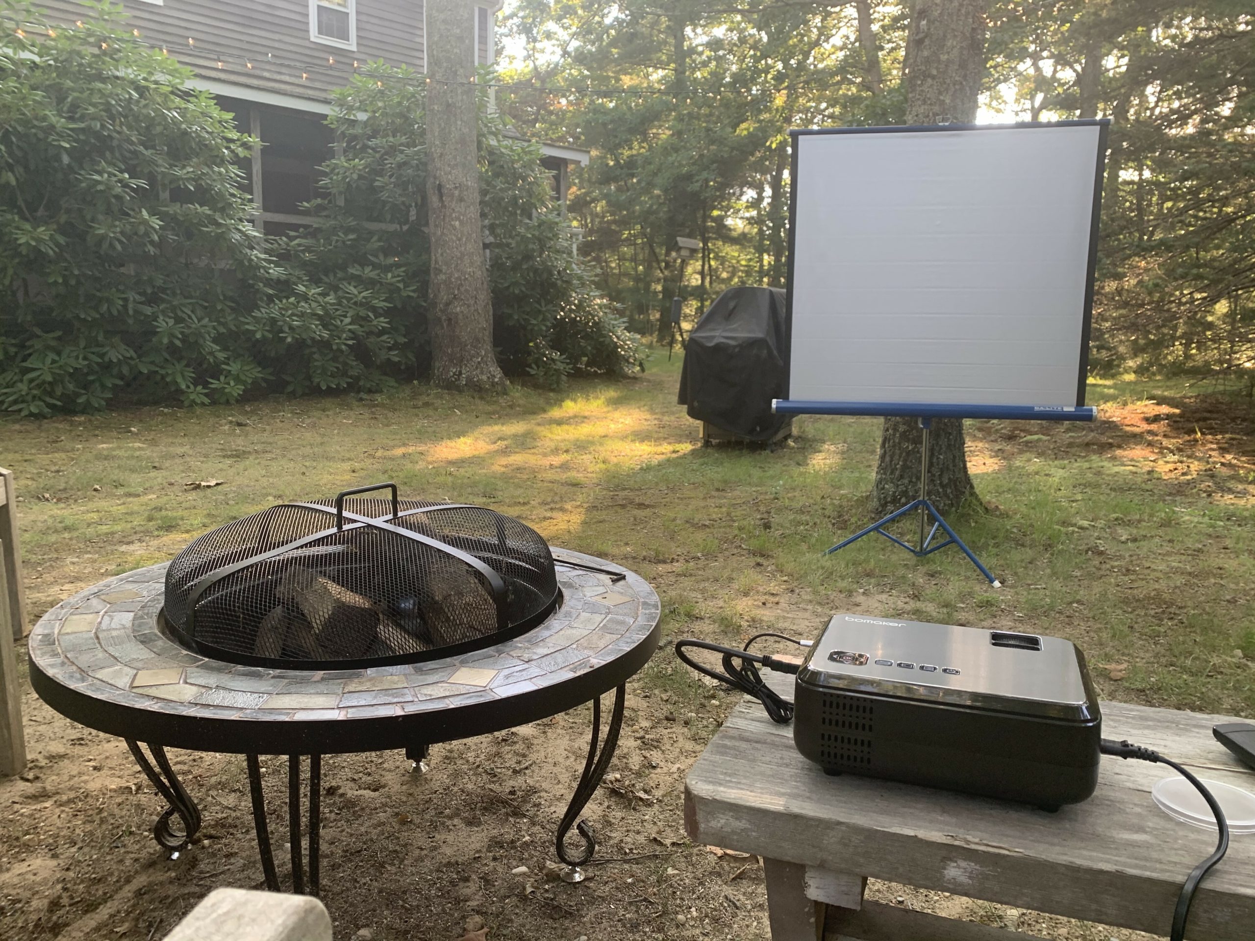 Desperate times call for desperate measures, including movies in the backyard.
