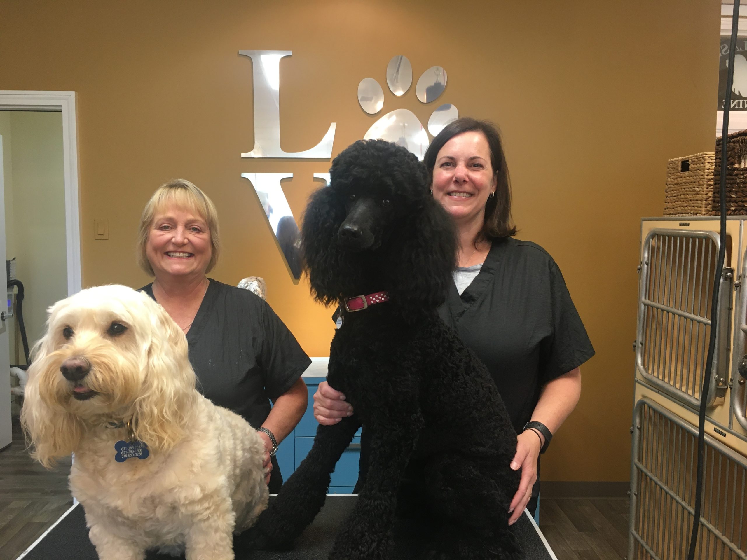 Kelly Scammell Humphreys (on the left), with her dog Mr. Parker, and new owner Jennifer Bockhaus (on the right), with her dog Beverly, at the Classy Canine in Southampton. 