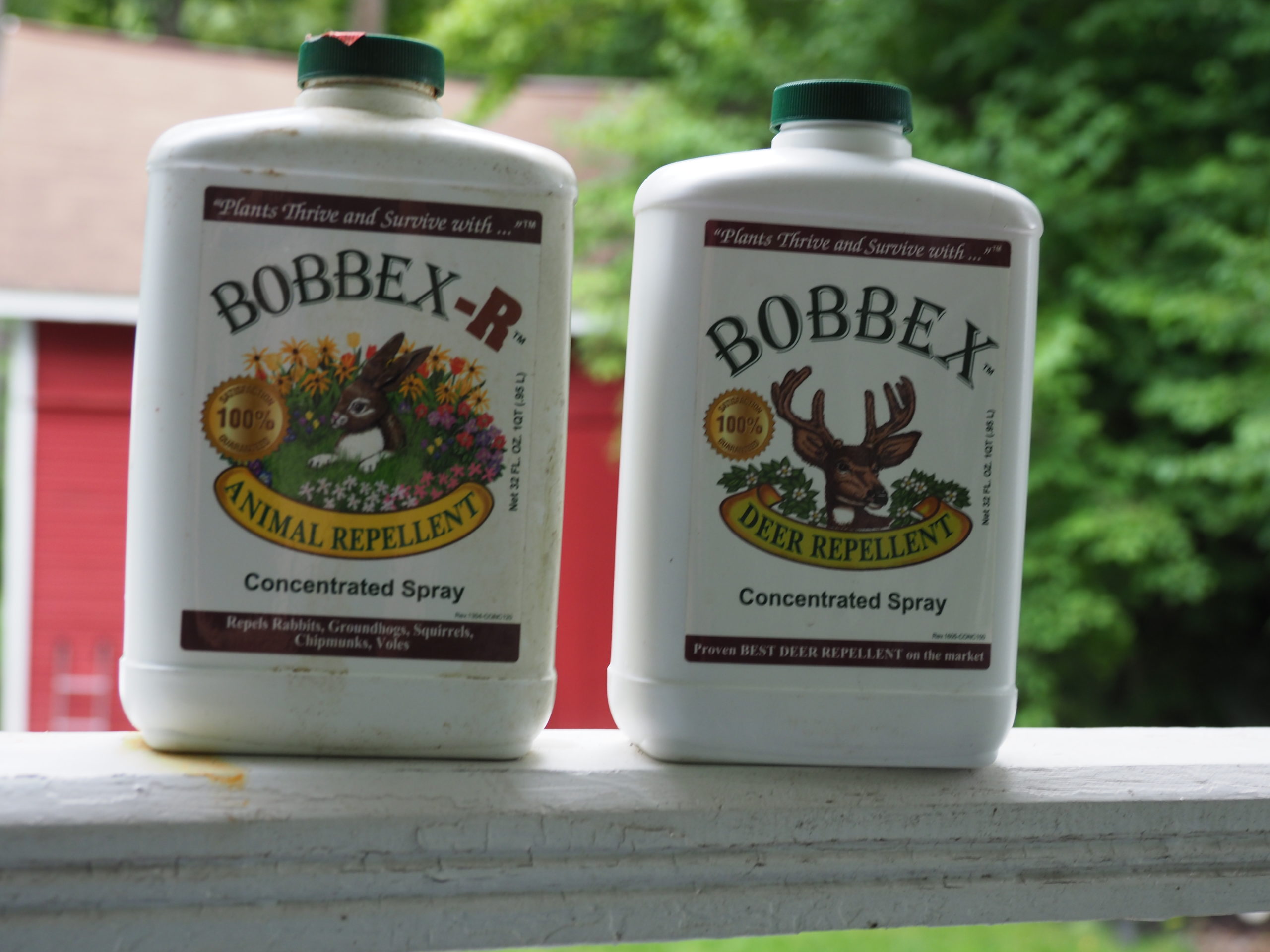 Only Bobbex-R (left) will work as a bulb dip to repel deer, mice, voles and squirrels. The dip only lasts for the first year, but in following years Bobbex-R can be used as a soil drench. The Bobbex on the right, the standard Bobbex, does not have the same repellency.