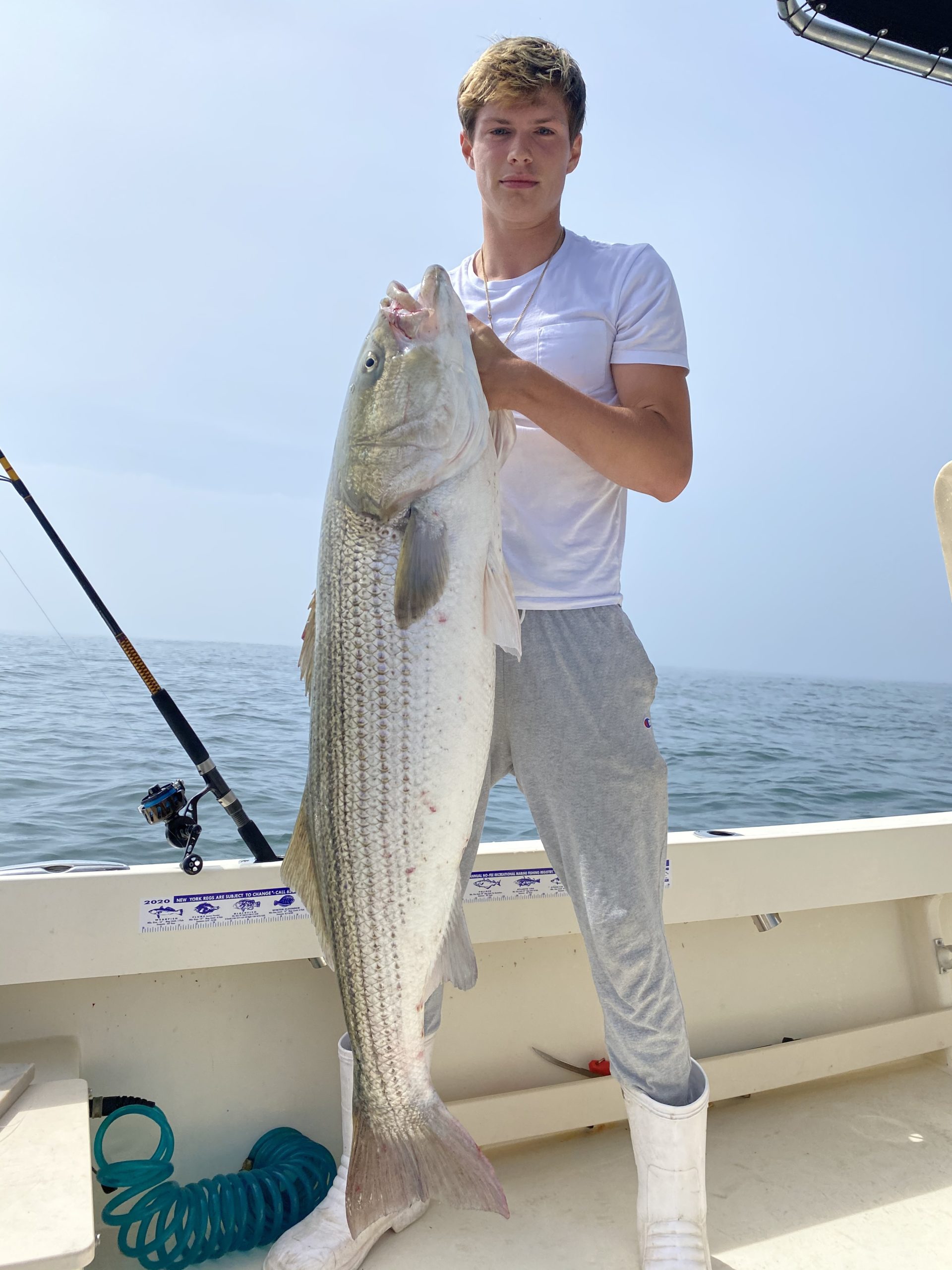 Big striped bass, like this 60 pounder decked by Witt Holmes while fishing off Montauk with Capt. Savio MIzzi of Fishooker Charters last month, are living to fight again another day this summer because of the new slot limit. 