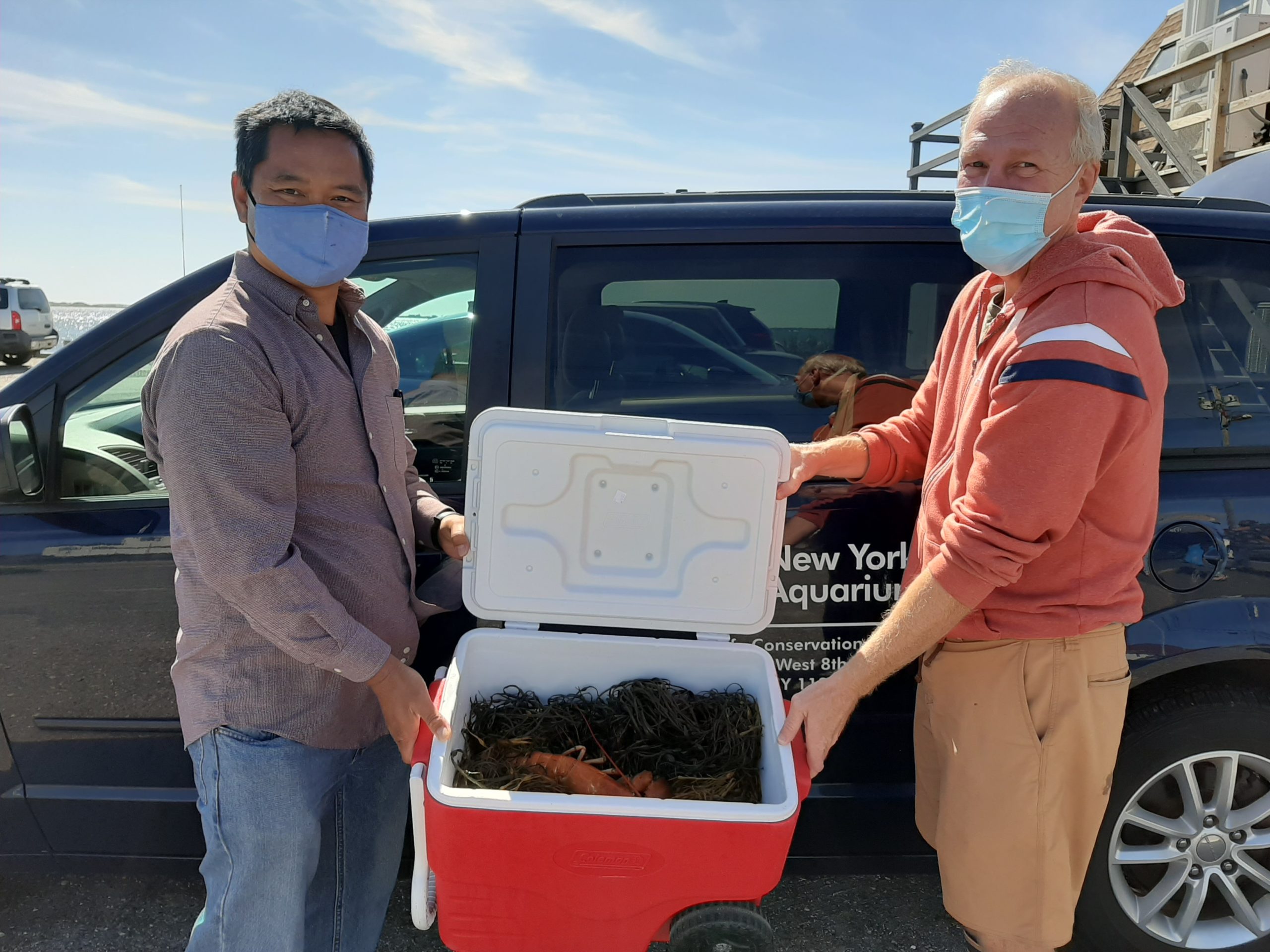 William Hana of the New York Aquarium, left, and Neil Hanrahan of Cor-J Seafood Market getting the orange lobster ready for the trip to Brooklyn. DEBBIE TUMA