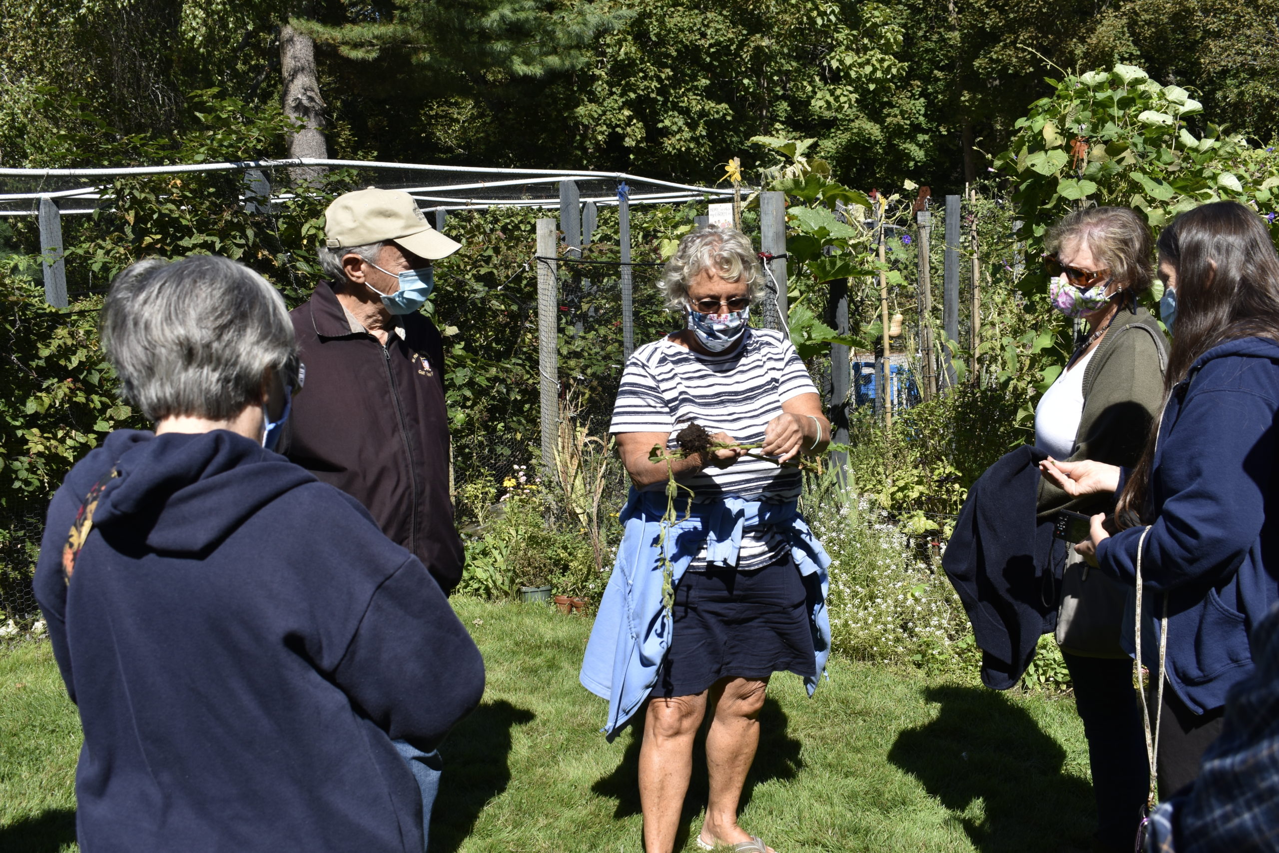 Marie Kinneary, holding seseme seed pods, gives a tour of her garden.