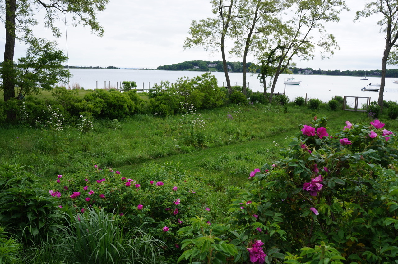 A Hudson Avenue, Shelter Island, garden featured on the Parrish Art Museum's Landscape Pleasures tour.