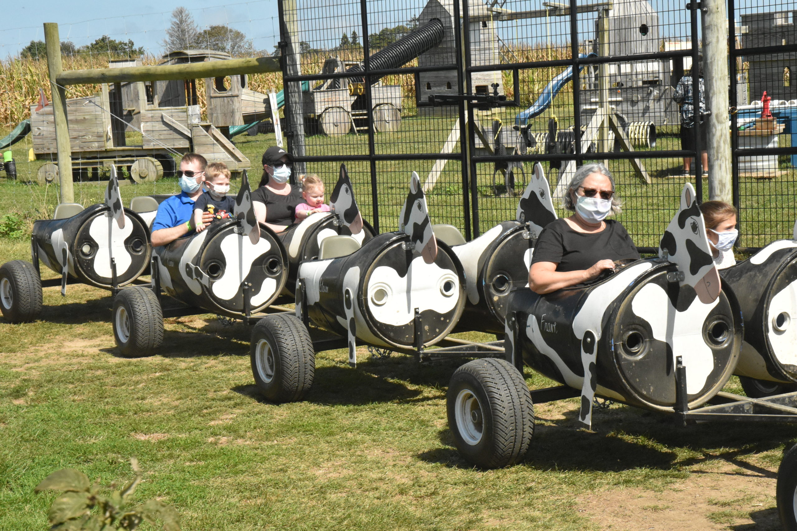 Riders on the cow train get a tour of Seven Ponds Orchard in Water Mill on Sunday. STEPHEN J. KOTZ