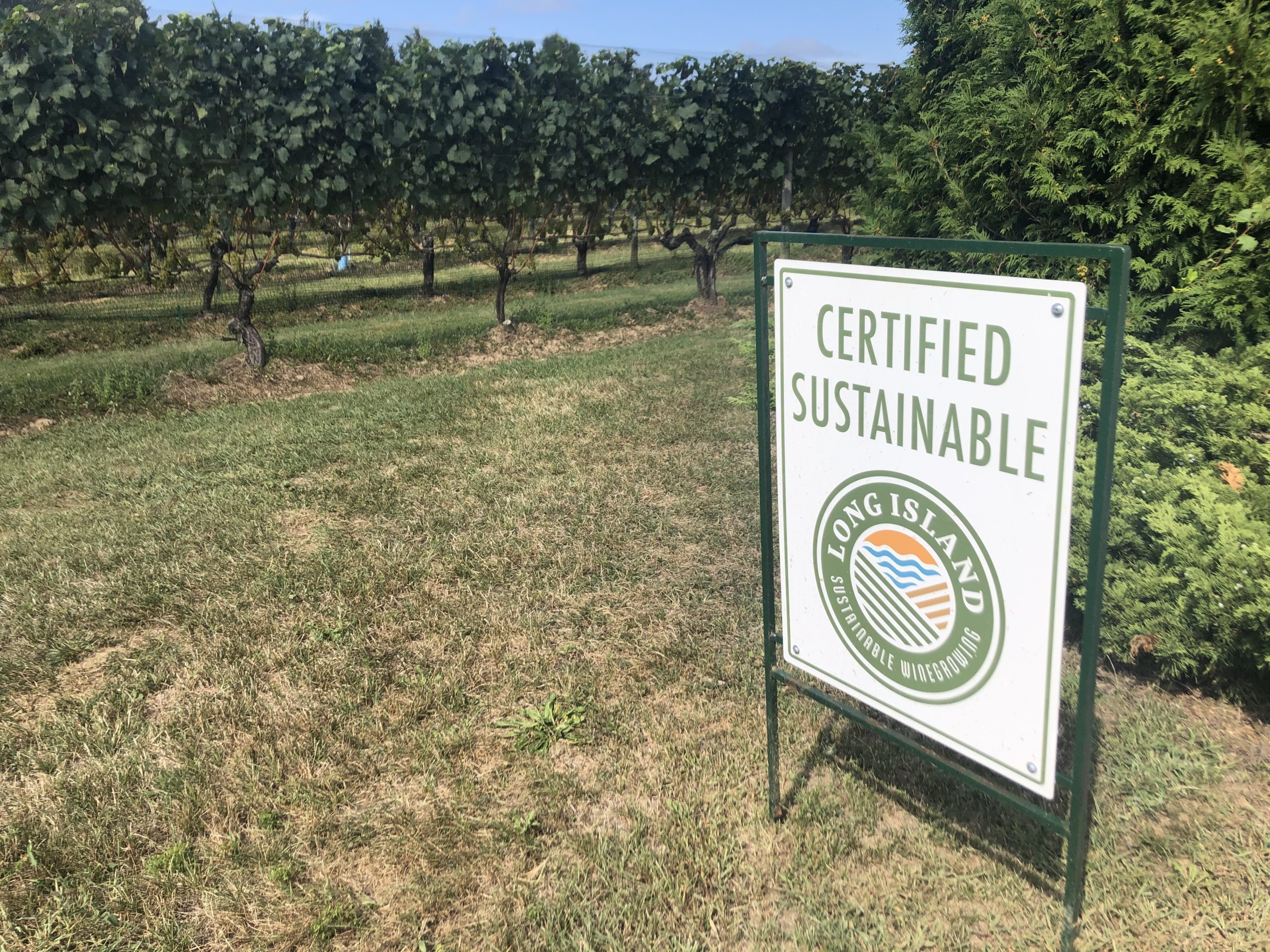 A certified sustainable sign at Wolffer Estate Vineyards.