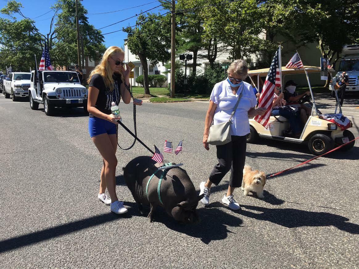 Some marchers brought pets, including a flag-bedecked pig, to the rally. KITTY MERRILL