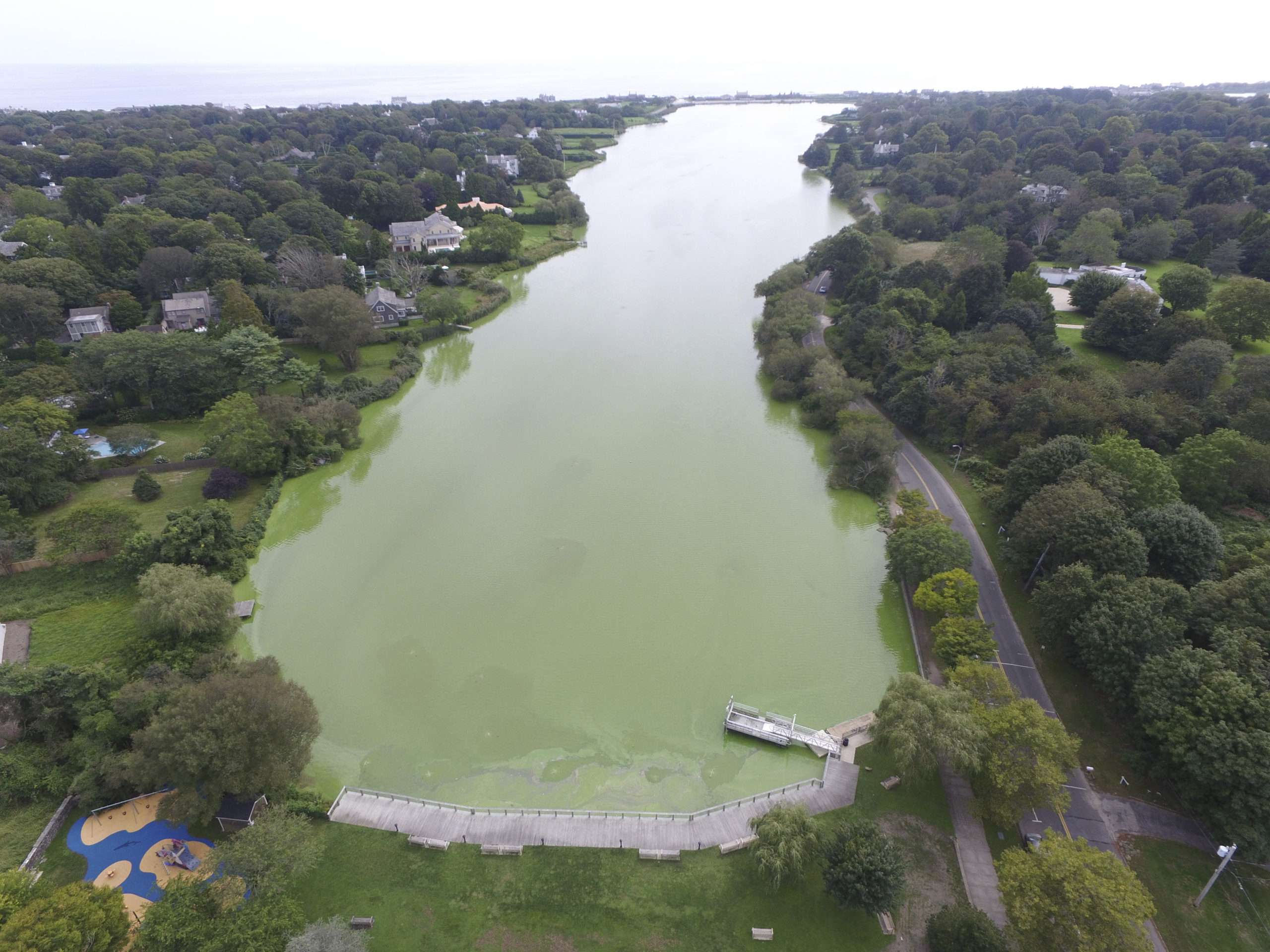 Lake Agawam in Southampton Village has suffered from chronic algae blooms, which are exacerbated by the heavy downpours that have defined the rainfall pattens in the Northeast in recent decades. 