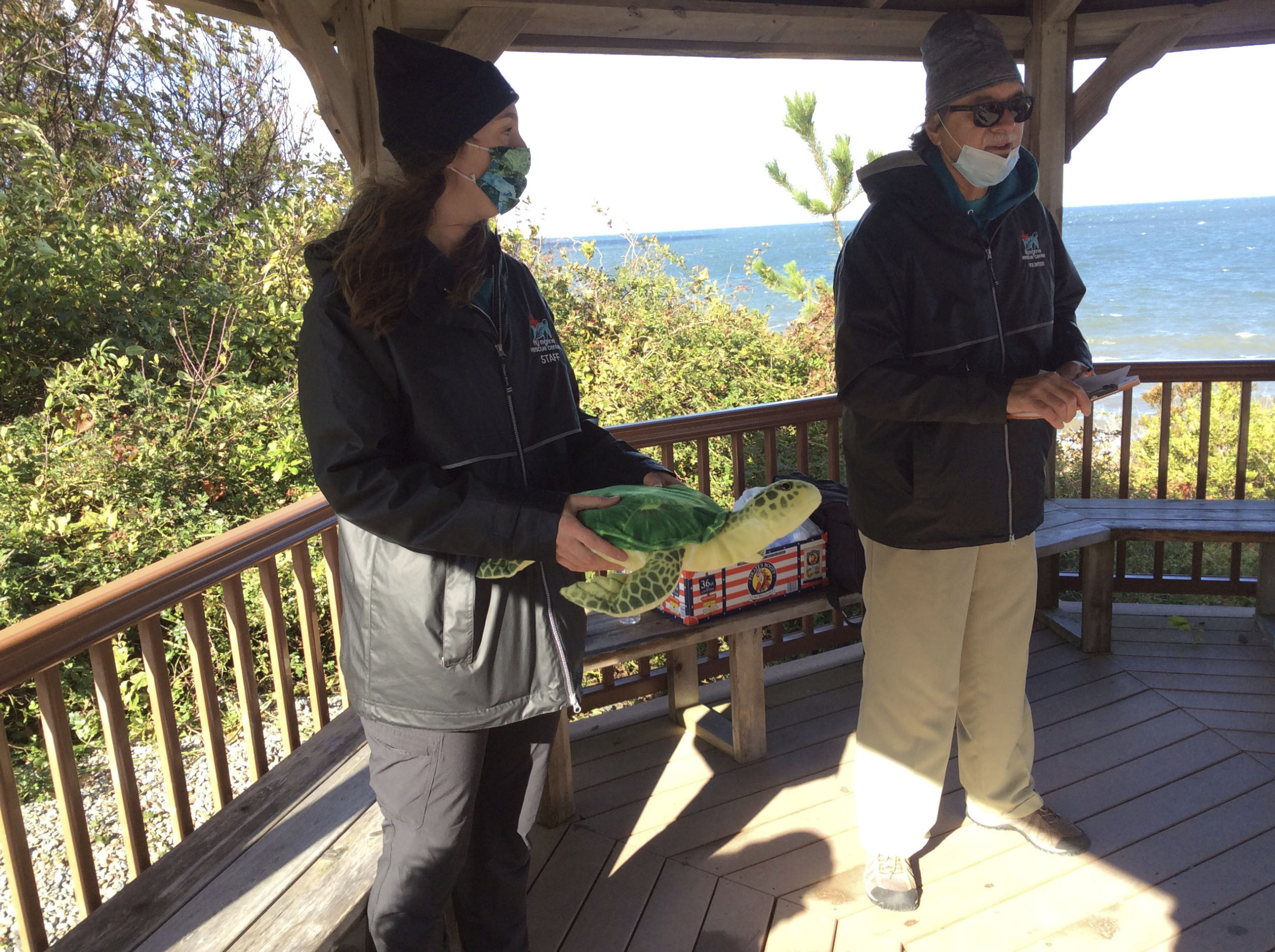 Katie Goulder and Steve Abbondondello talk about handling turtles.   BRYAN BOYHAN