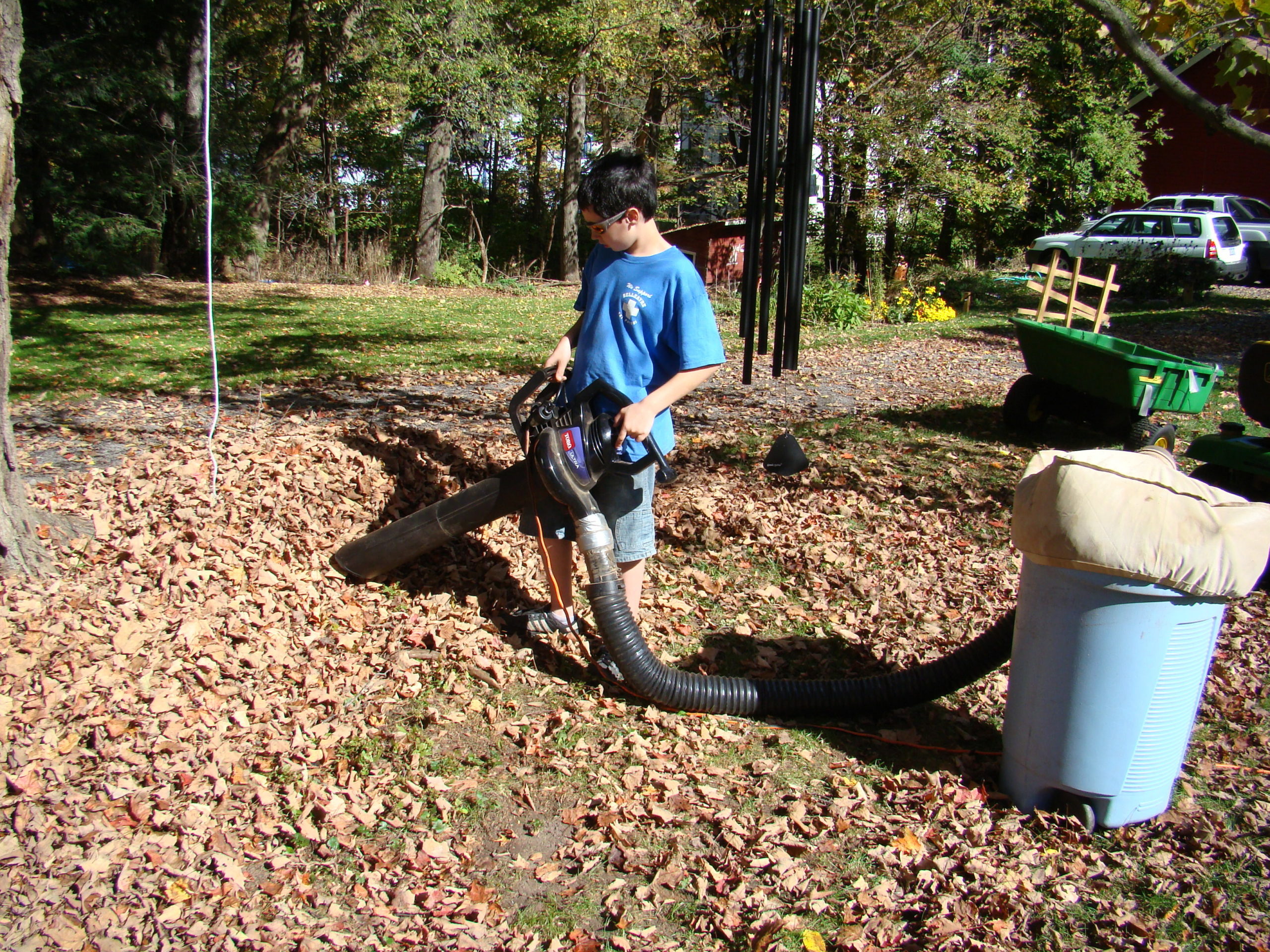 Rake the Leaves? Some Towns Say Mow Them - The New York Times