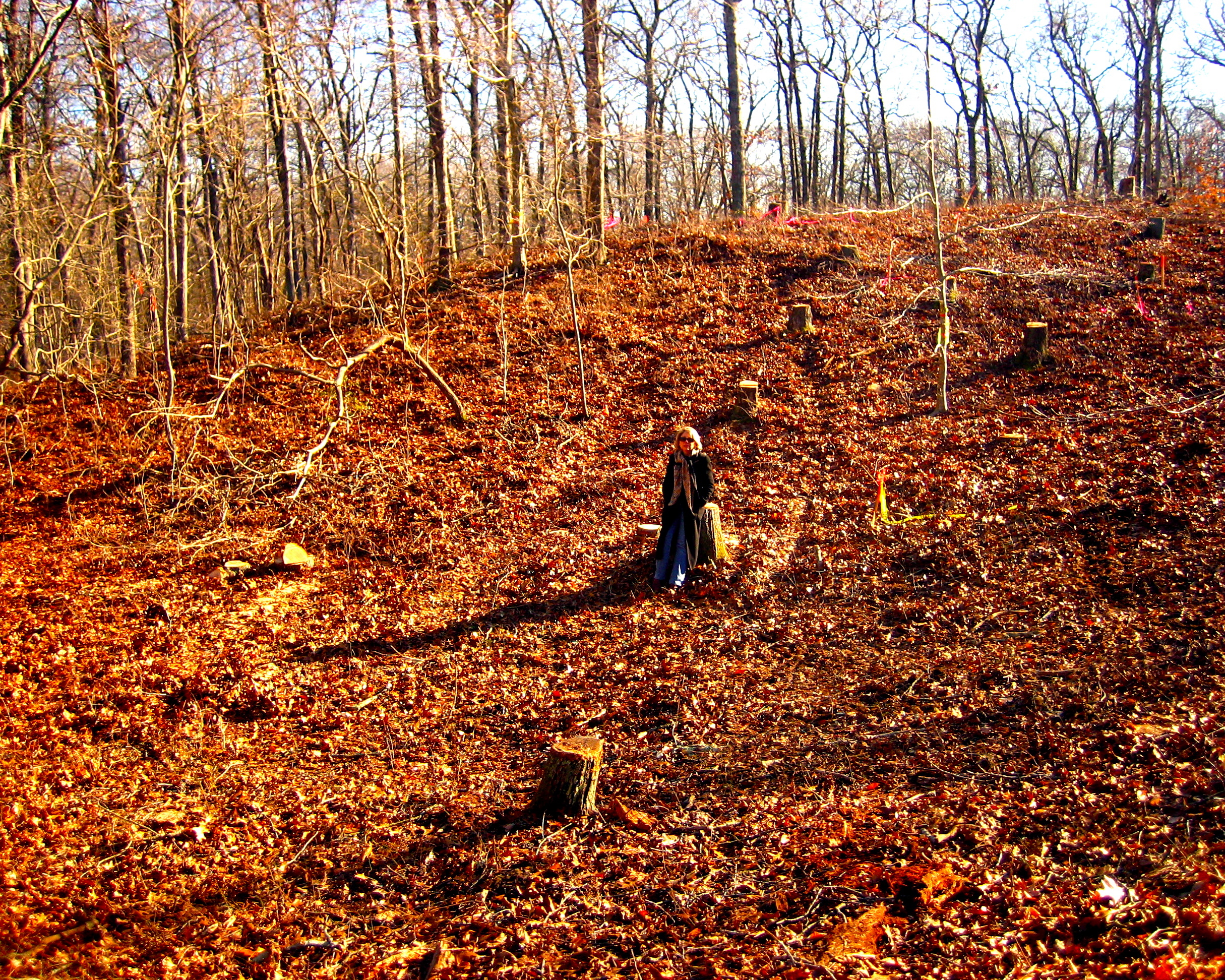Carol Merksamer sits on a stump on the natural slope of the kettle hole. 