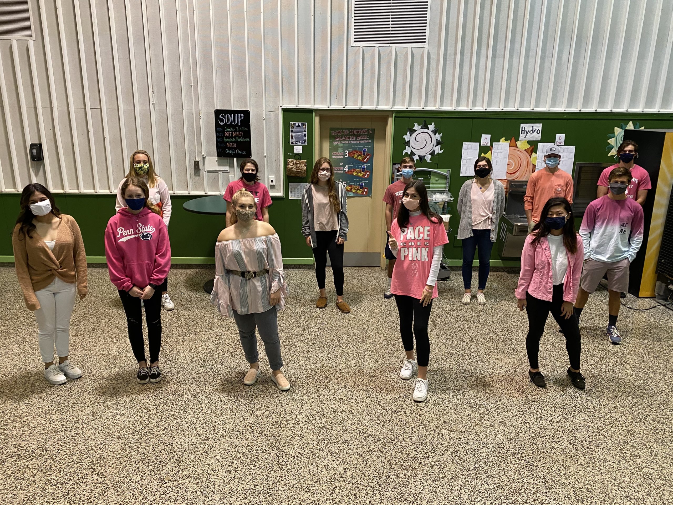 To raise awareness about breast cancer, members of the Westhampton Beach High School National Honor Society sponsored a Wear Pink to School campaign. On October 22 and 23, all students were encouraged to wear pink in acknowledgment of Breast Cancer Awareness Month. 
