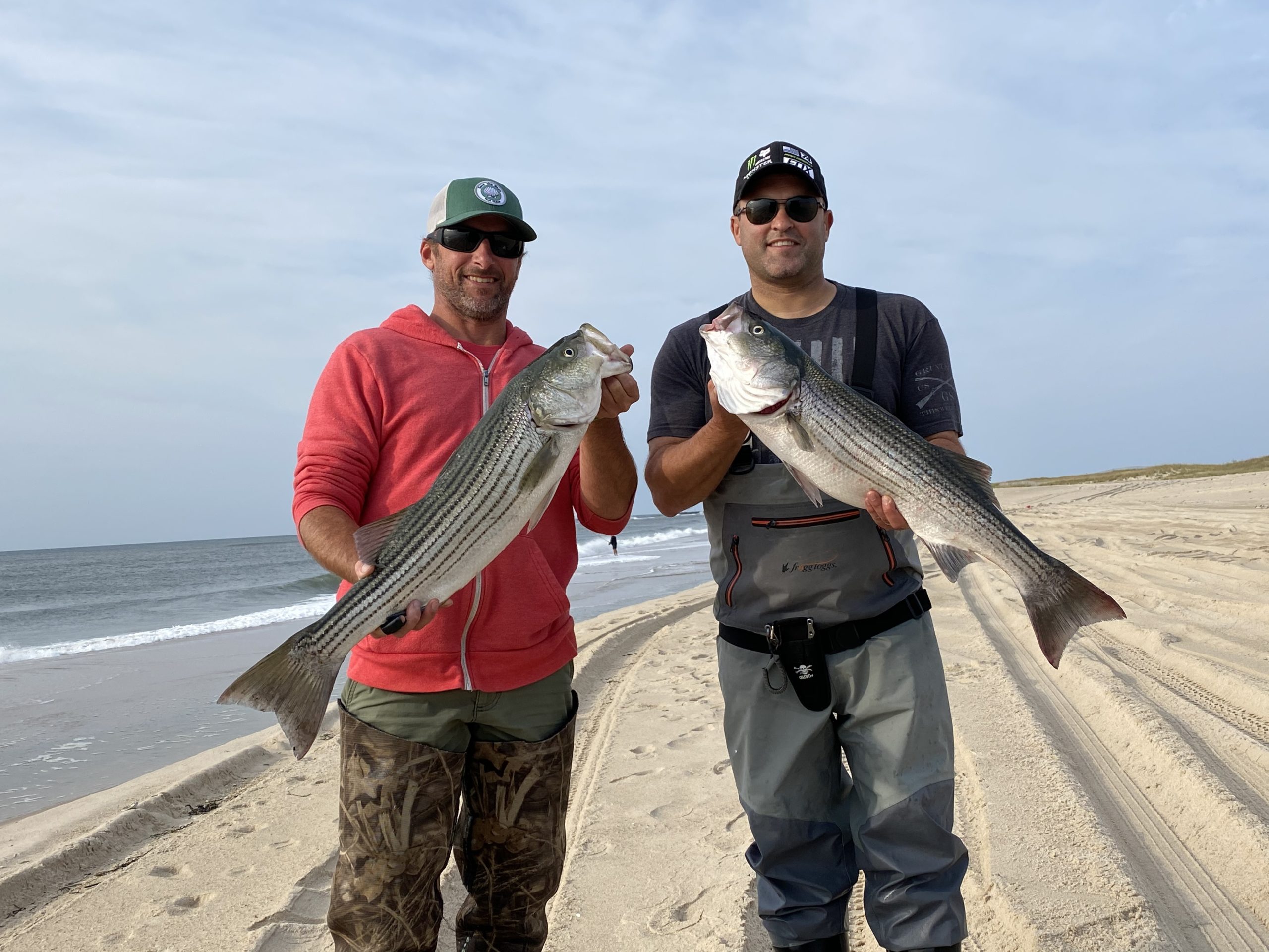 Shawn Deuel and Dean McNamara with the spoils of the good striped bass fishing on local beaches over the weekend. 