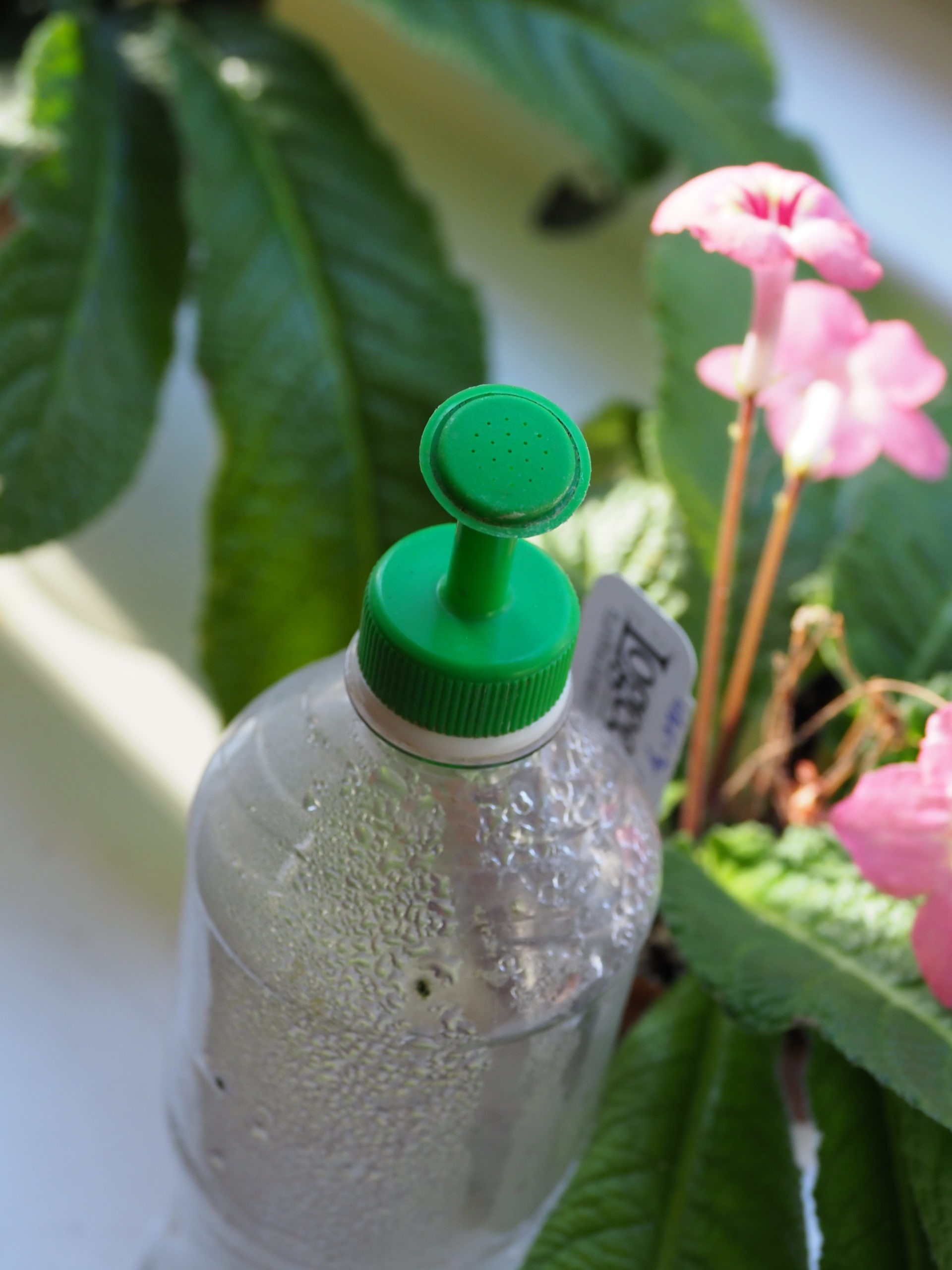 One of the bottle top waterers mentioned in this weeks column. It’s attached to a water bottle and can be used for seed flats, transplanted seedlings and other watering uses. Four tips (two medium and two fine) go for about $6.