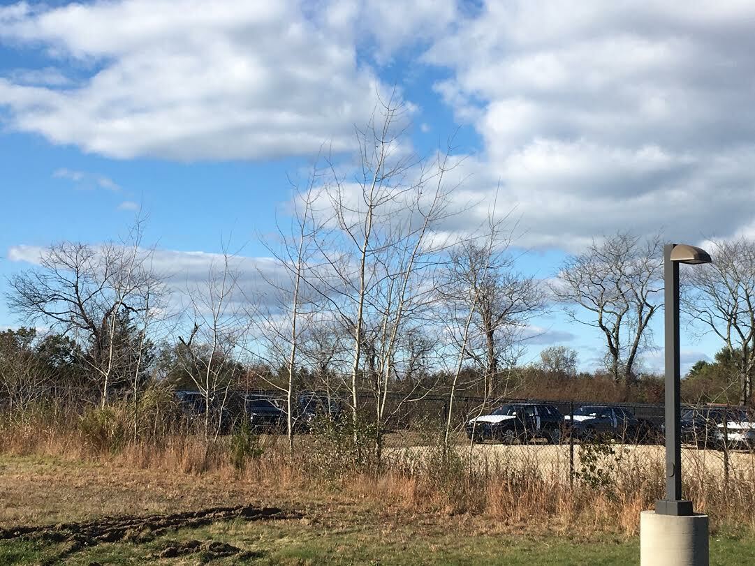 The potential site of a cell tower in Water Mill is visible beyond the parked vehicles on the right. KITTY MERRILL