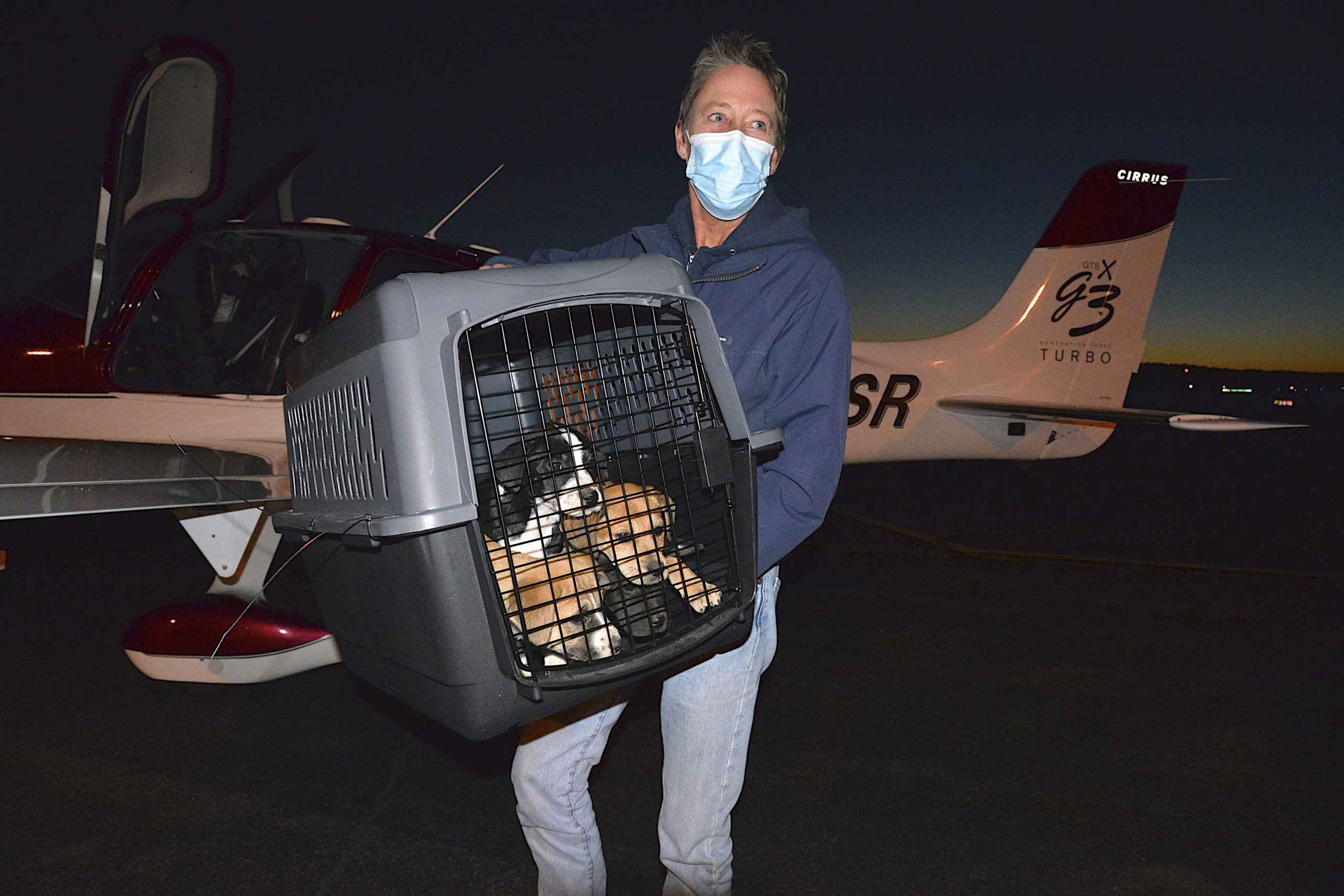 ARF is received 15 puppies from its rescue partner in South Carolina on December 18. Local pilot and flight instructor Charles Caravan offered his services and a plane for the transport. KYRIL BROMLEY