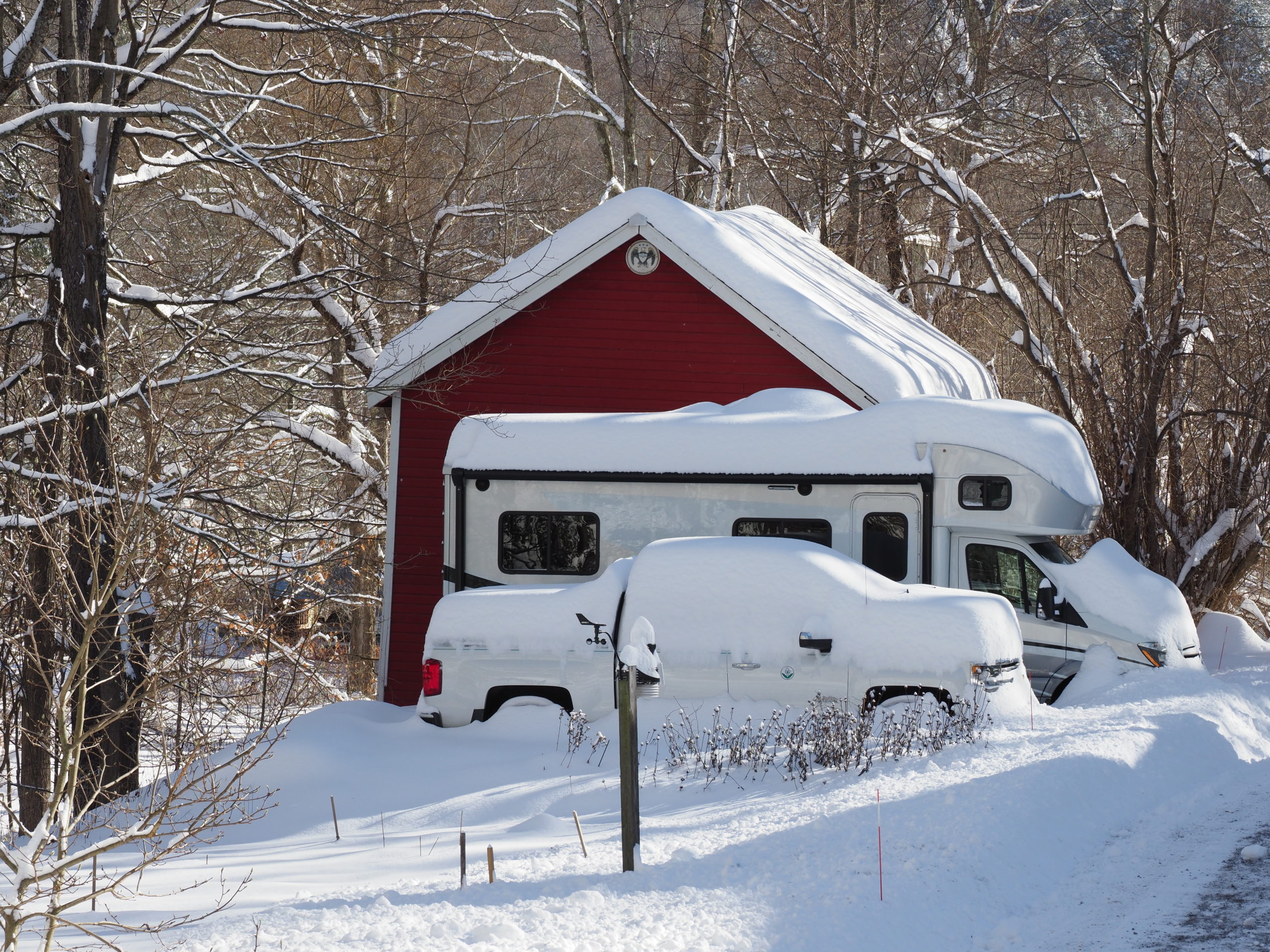 On the left is the trial garden and weather station. Behind the truck and motor home is the red barn just chock full of garden tools and supplies, as well as this year's unfurled Christmas tree. Just in front of the truck is a 30-foot-long Echinacea bed. You can see the stems and seed heads weren’t removed and still get visited by birds seeking missed morsels.