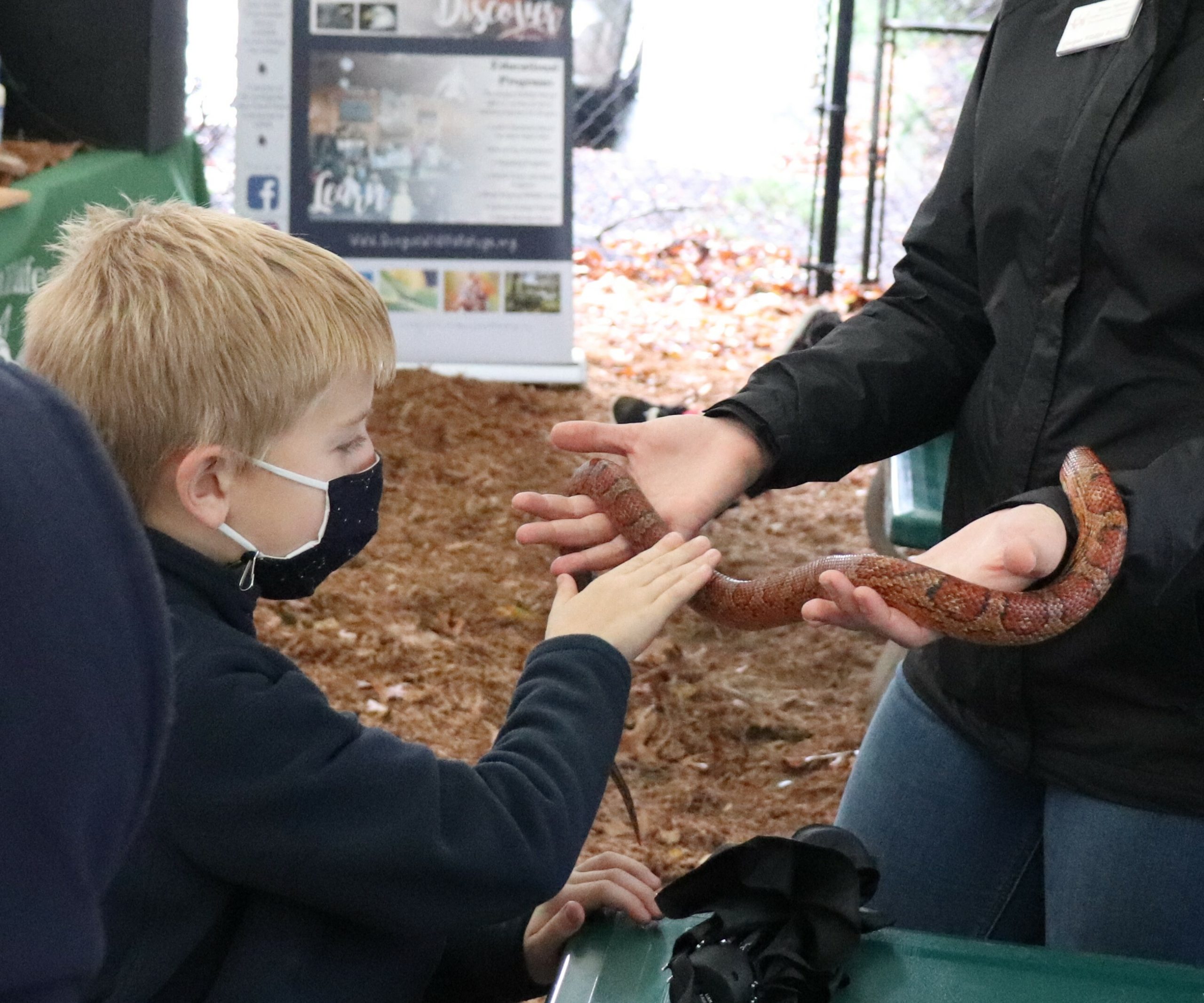 Fourth-grade student, Liam Faulk, gets up close and personal to visitors from the Quogue Wildlife Refuge.