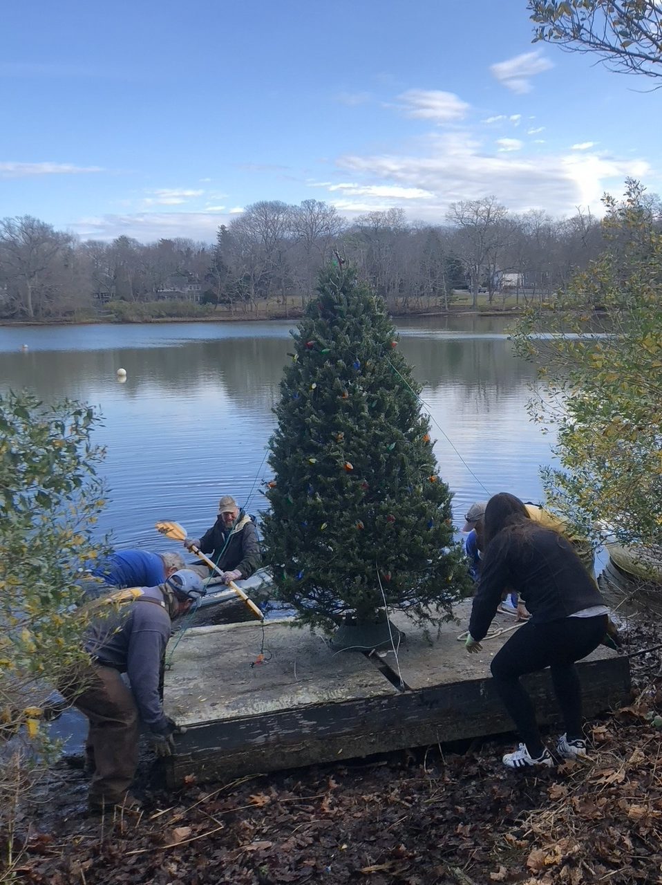 Phil Bucking, owner of the Sag Harbor Garden Center, and friends Tony Politi, Jeff Robinson, Will Kickoff and George Sanchez set up the Otter Pond Christmas tree on December 4. Through the end of the year the tree can be seen lighting up Sag Harbor’s pond. 