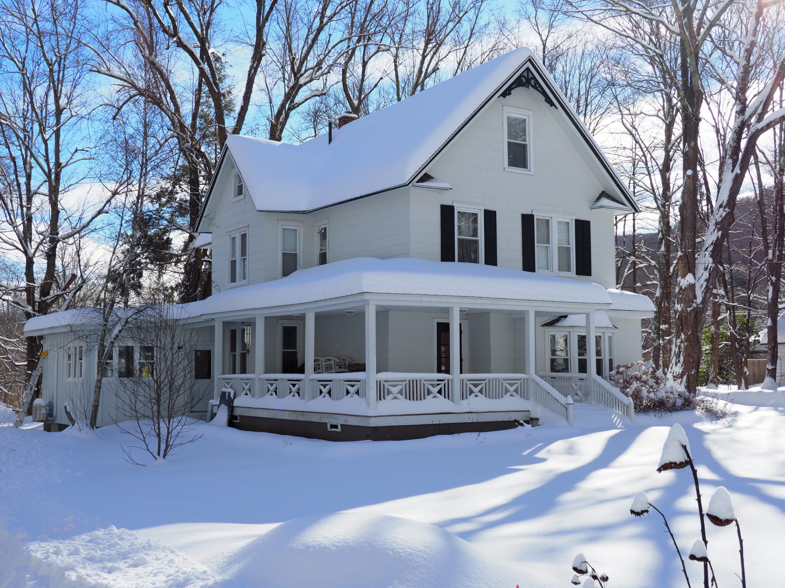 The Hampton Gardener’s winter hibernation retreat. Buried under 20 inches of snow are the perennial beds surrounding the house. And doesn’t the lawn look great? No weeds.
