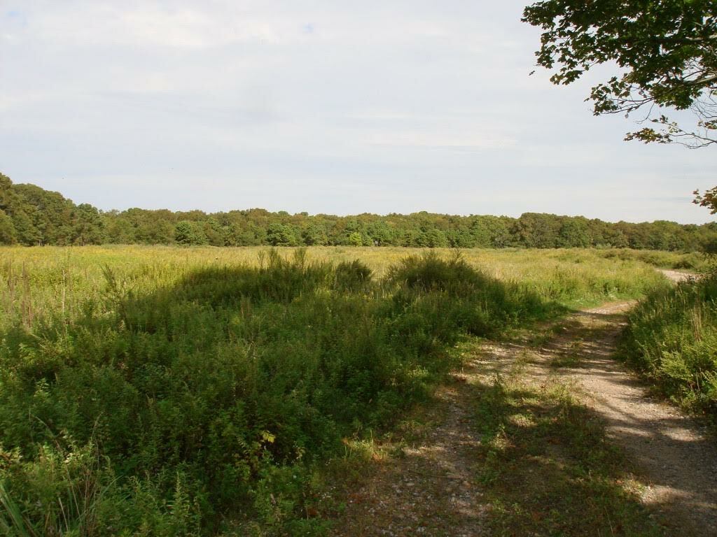 Southampton Town acquired 160 acres in Speonk last year using CPF revenue.