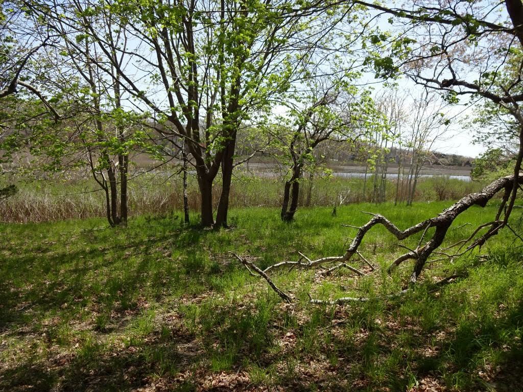 A property on Brushy Neck Creek in Westhamtpon  was added to Southampton Town's CPF holdings in 2020.