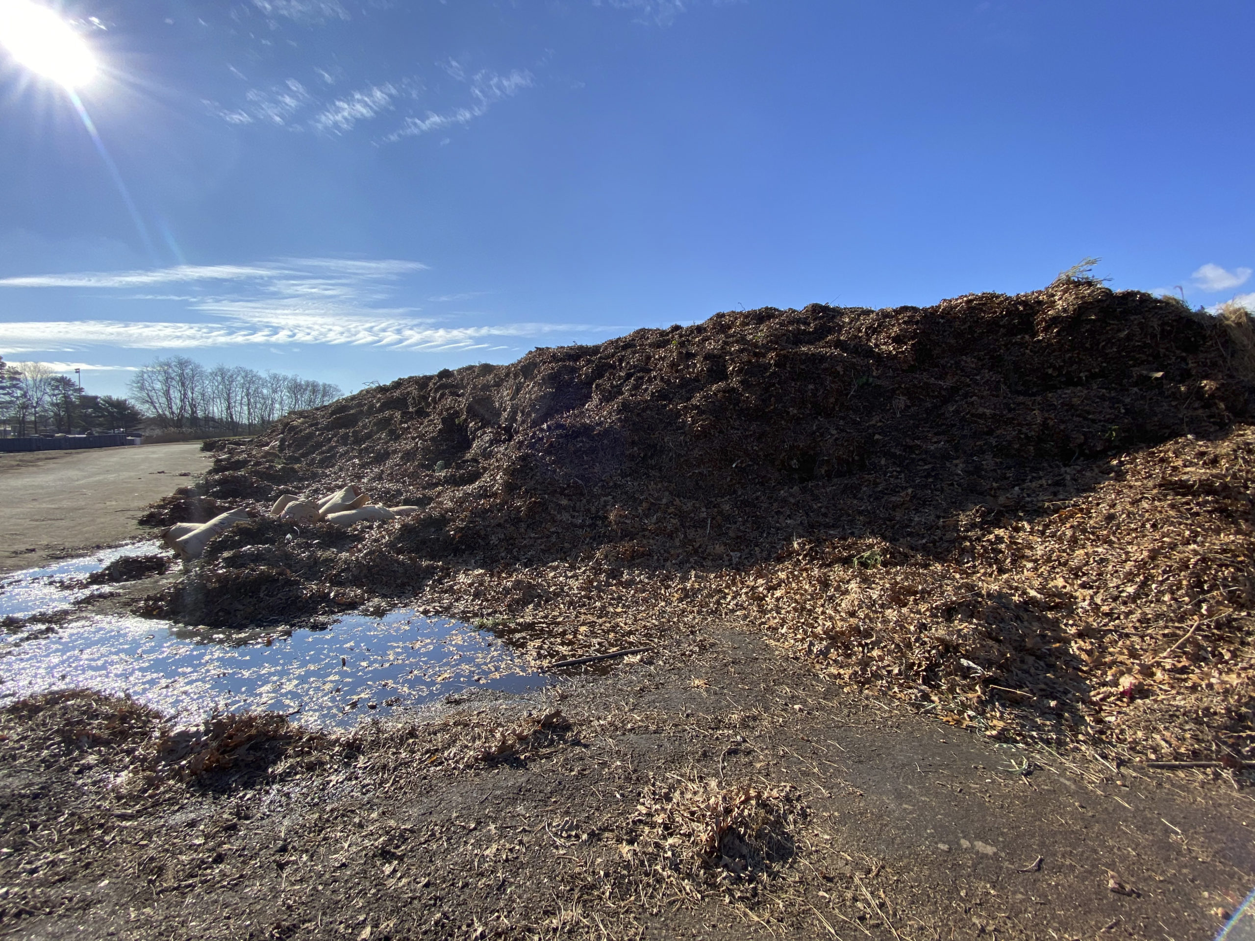 The mulch pile at the Hampton Bays Transfer Station.  DANA SHAW