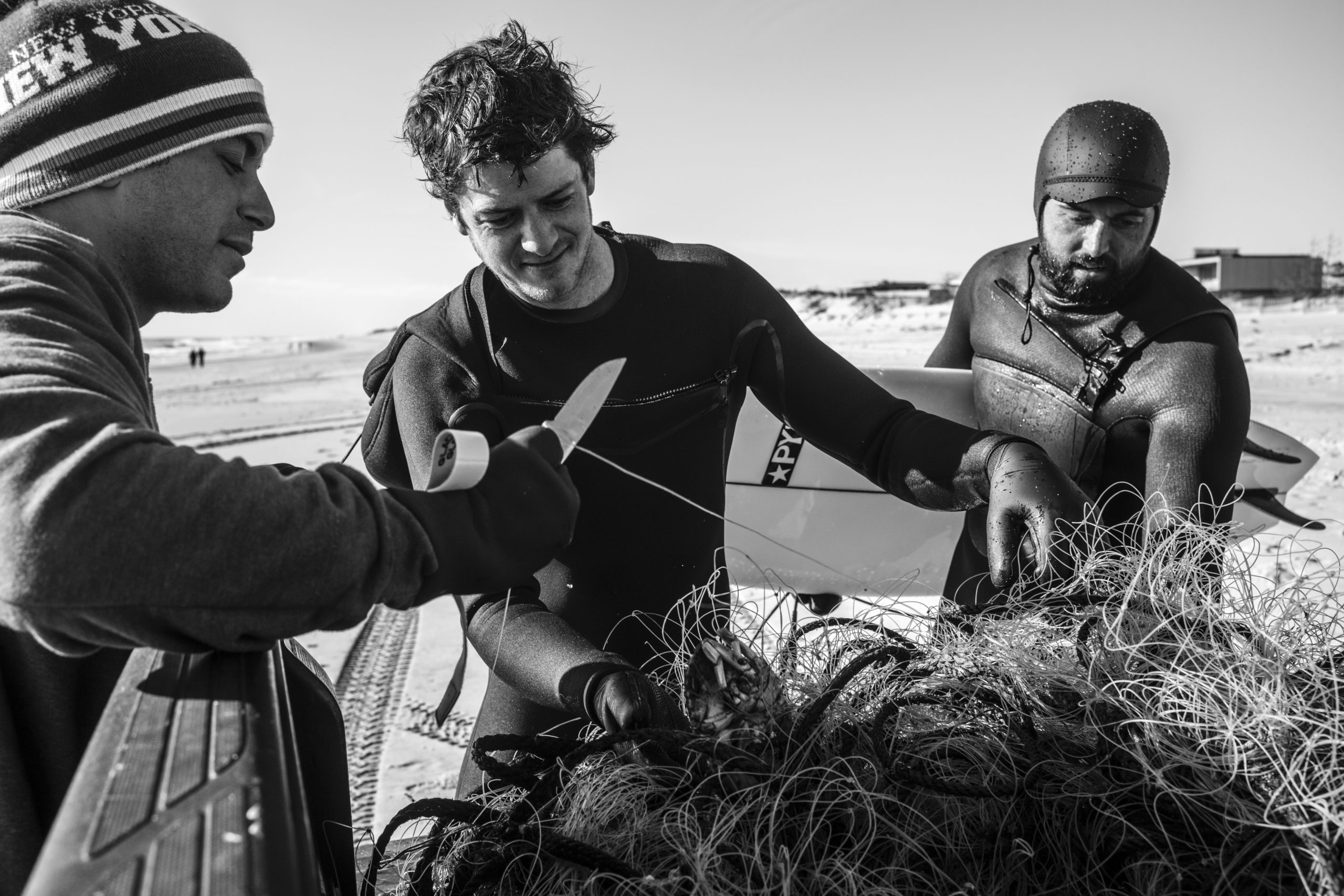 Local surfers, Brian Pollak, Will O’Connor, and Marley Doherty, untangle Peekytoe Crabs from an old fishing line that washed up on shore in Southampton on Sunday, December 27.     LORI HAWKINS