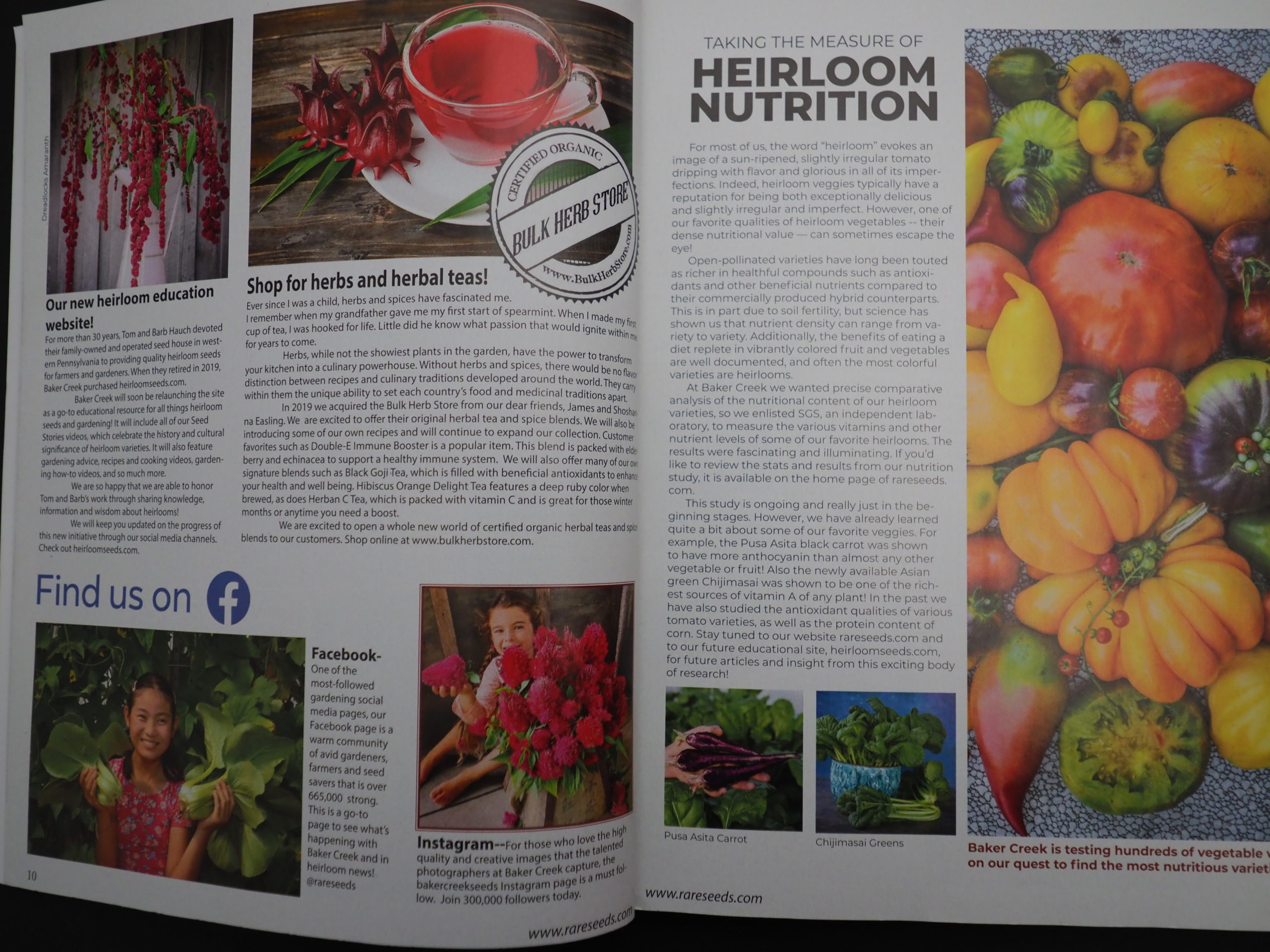 Nearly an inch thick, the 2021 Whole Seed Catalog is a must-have encyclopedia when it comes to heirlooms and open-pollinated seeds as well as pages and pages of growing advice.