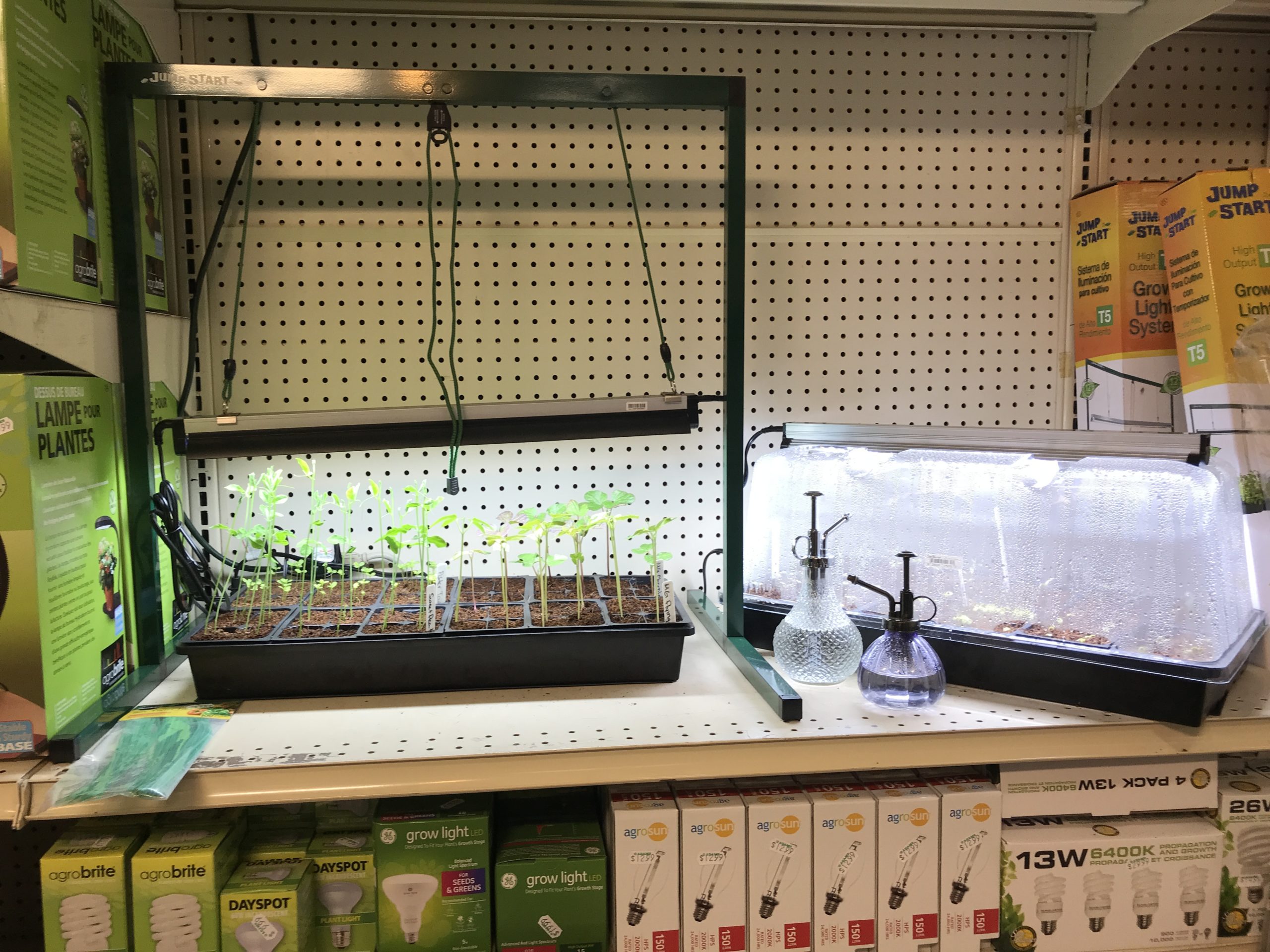 Garden centers, home centers and online garden stores sell a wide variety of artificial lighting options for seed starting. Make sure there is enough wattage for the space and know how far the lights need to be from the seedlings. Both LED and fluorescent systems are available.