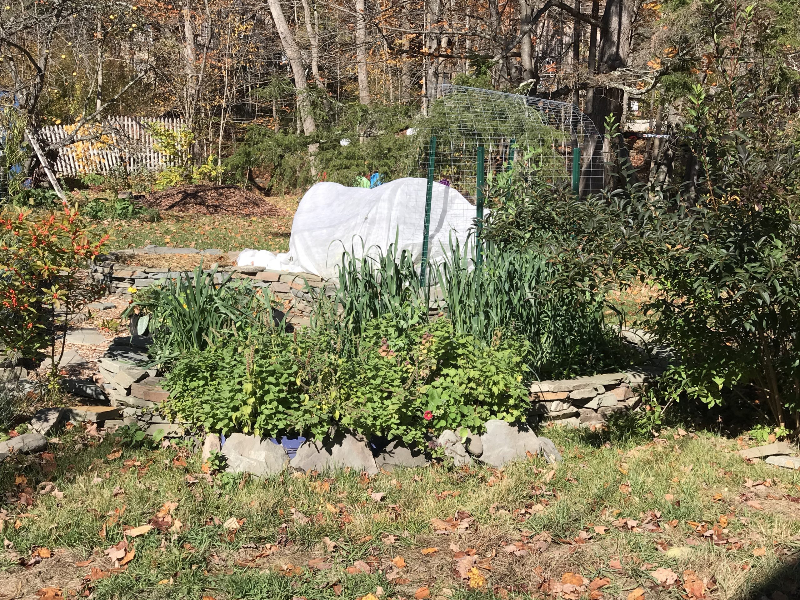 On the more modest side, this family built whimsical stone enclosed beds for a variety of crops from leeks to peas and corn to tomatoes and potatoes and herbs.